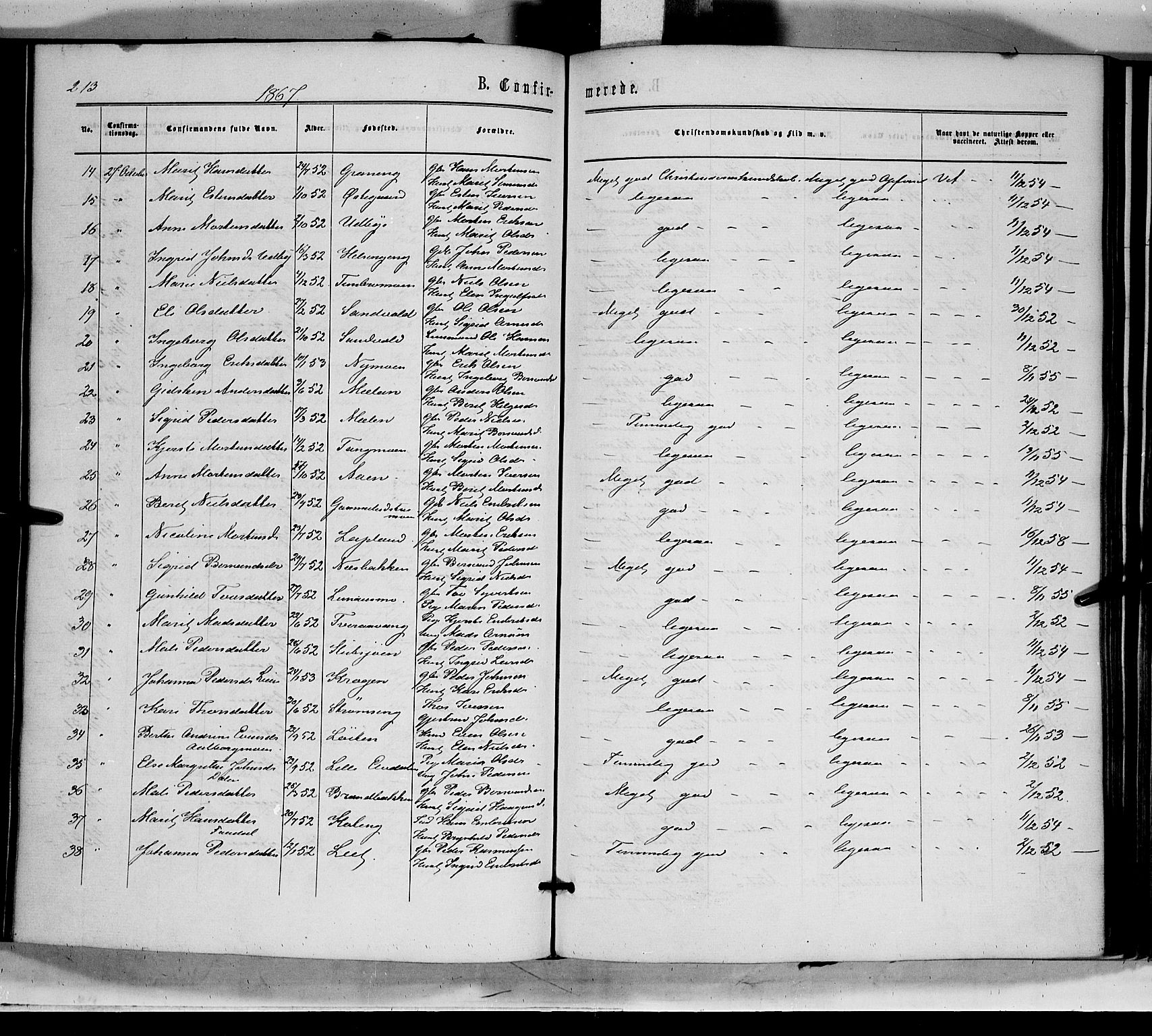 Tynset prestekontor, AV/SAH-PREST-058/H/Ha/Haa/L0021: Parish register (official) no. 21, 1863-1879, p. 213