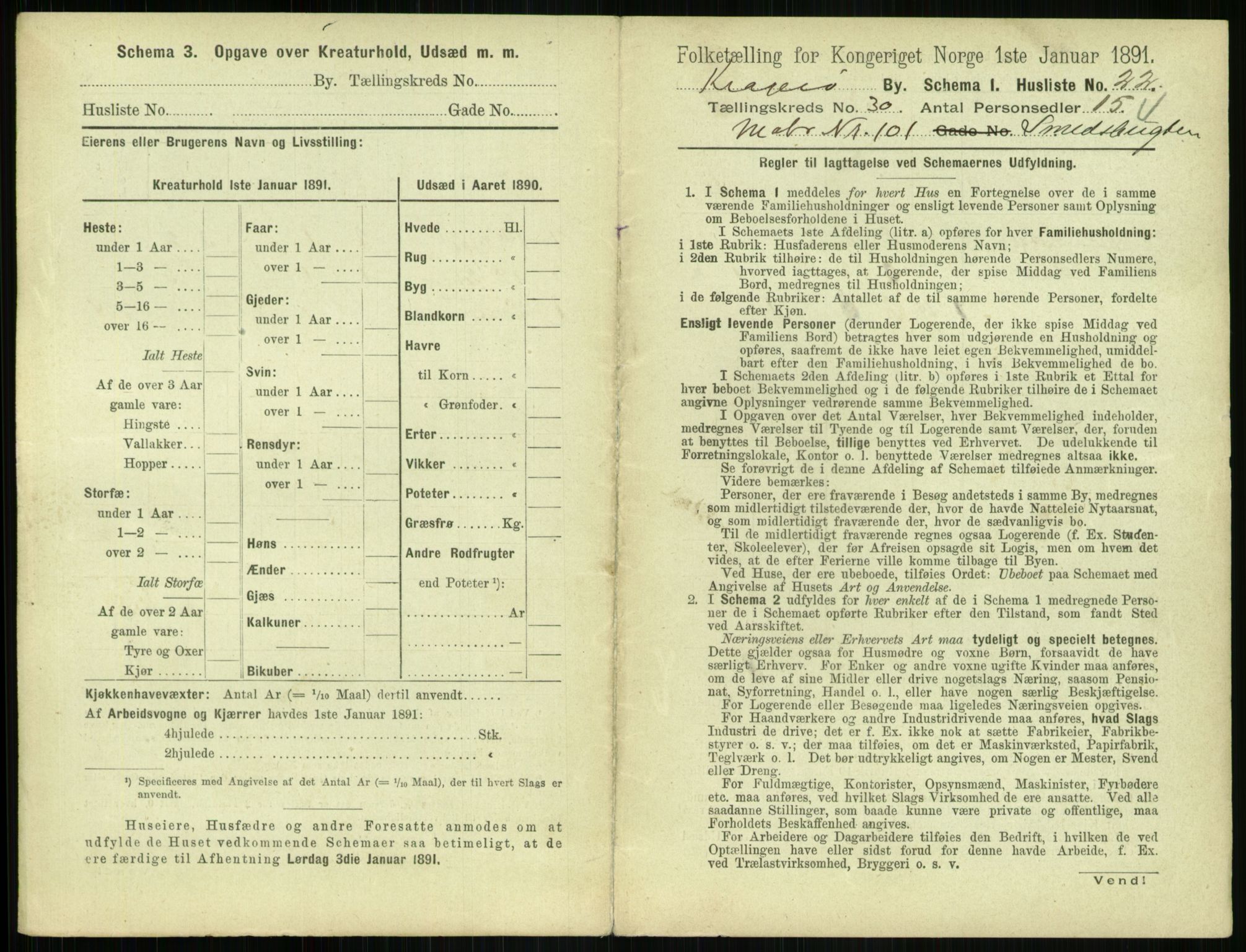 RA, 1891 census for 0801 Kragerø, 1891, p. 1110