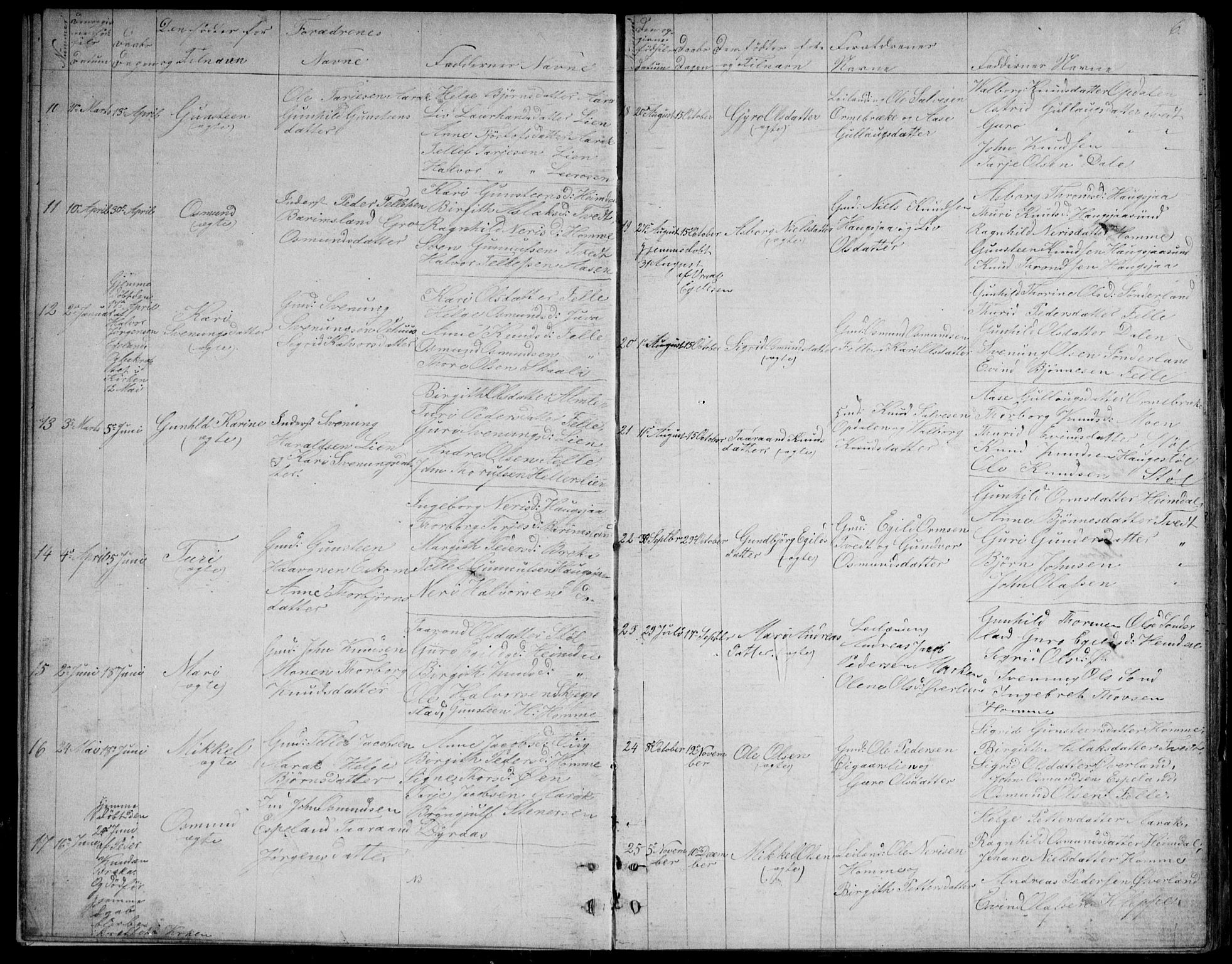 Nissedal kirkebøker, SAKO/A-288/G/Gb/L0002: Parish register (copy) no. II 2, 1863-1892, p. 6