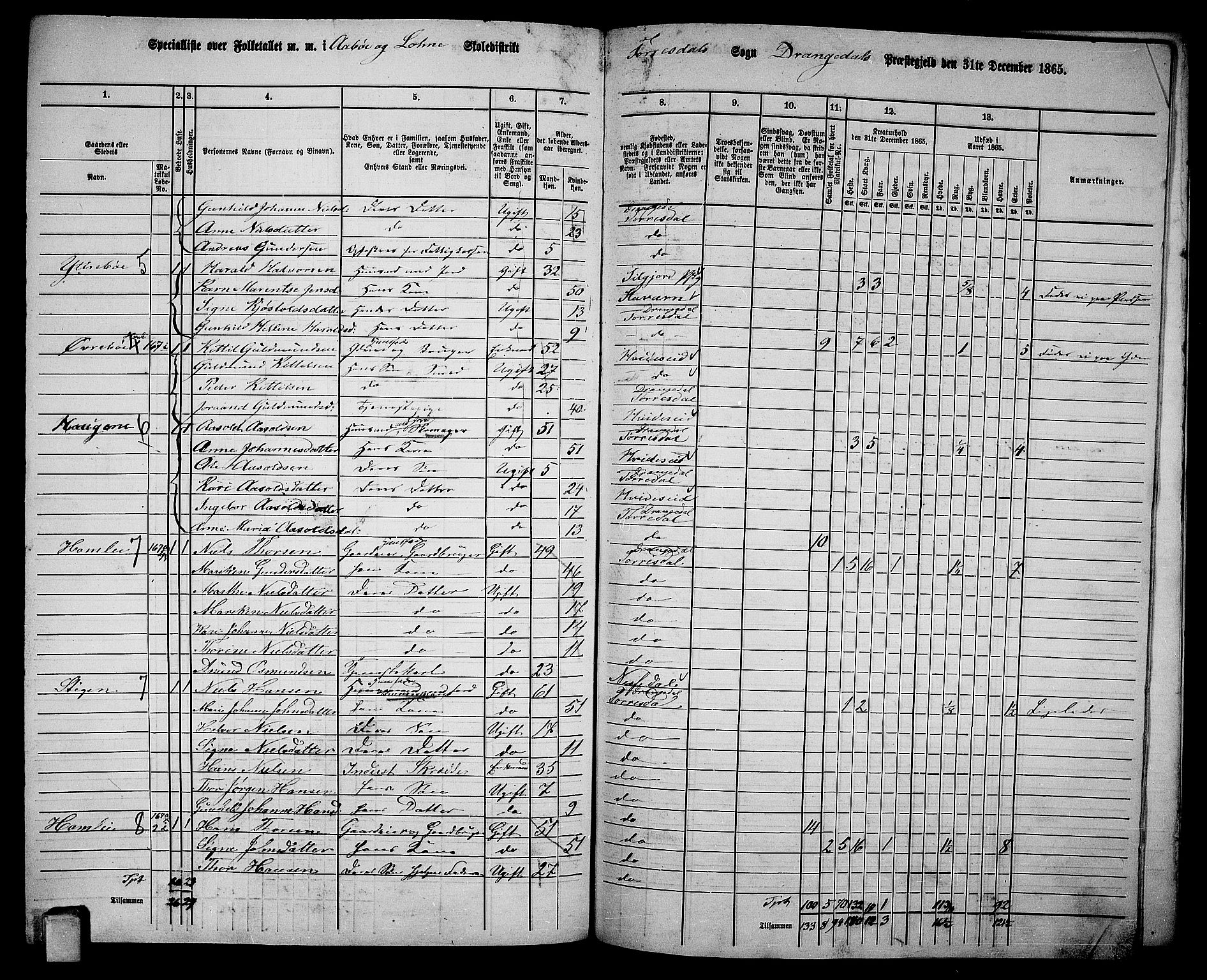 RA, 1865 census for Drangedal, 1865, p. 124