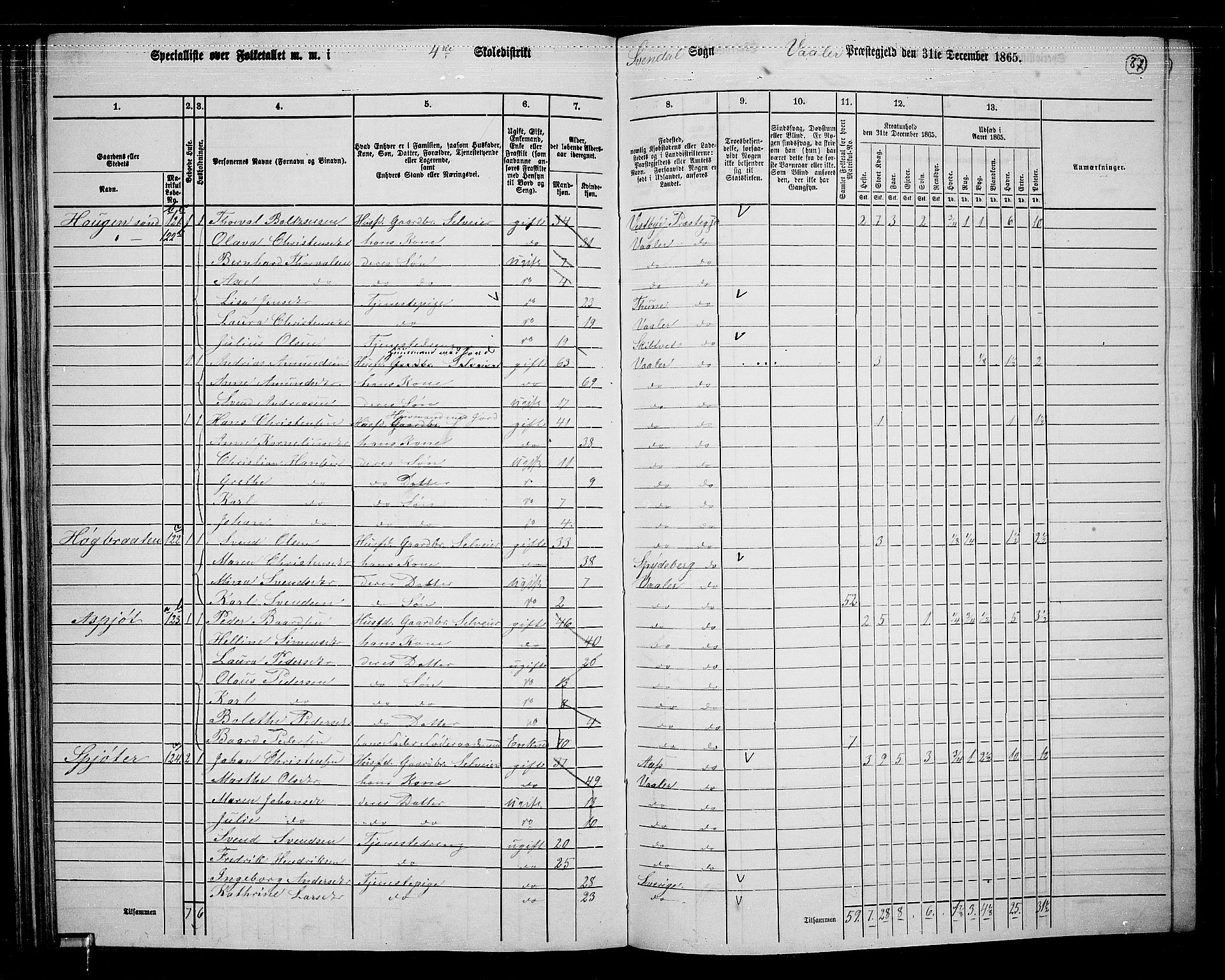 RA, 1865 census for Våler, 1865, p. 77