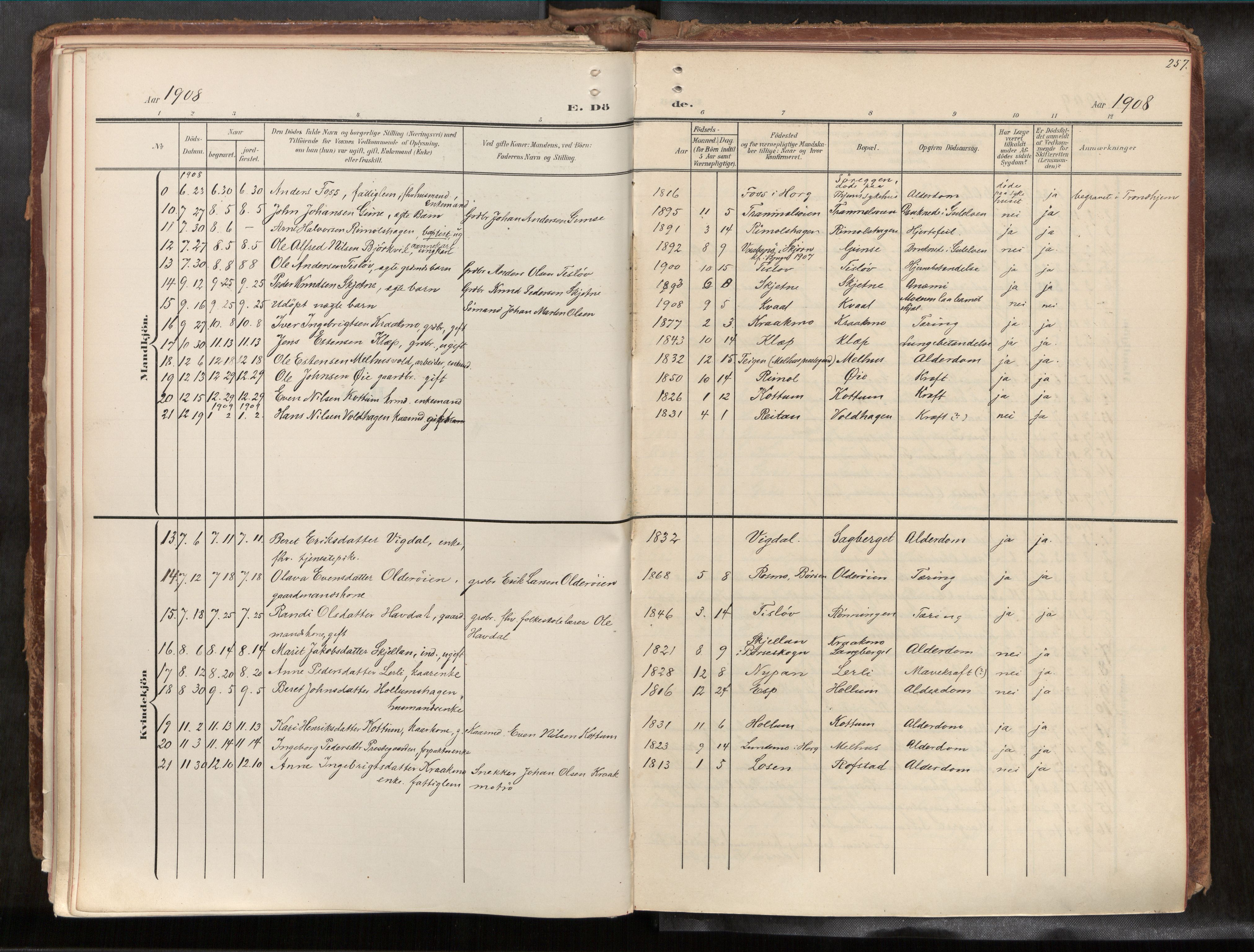Ministerialprotokoller, klokkerbøker og fødselsregistre - Sør-Trøndelag, SAT/A-1456/691/L1085b: Parish register (official) no. 691A18, 1908-1930, p. 257