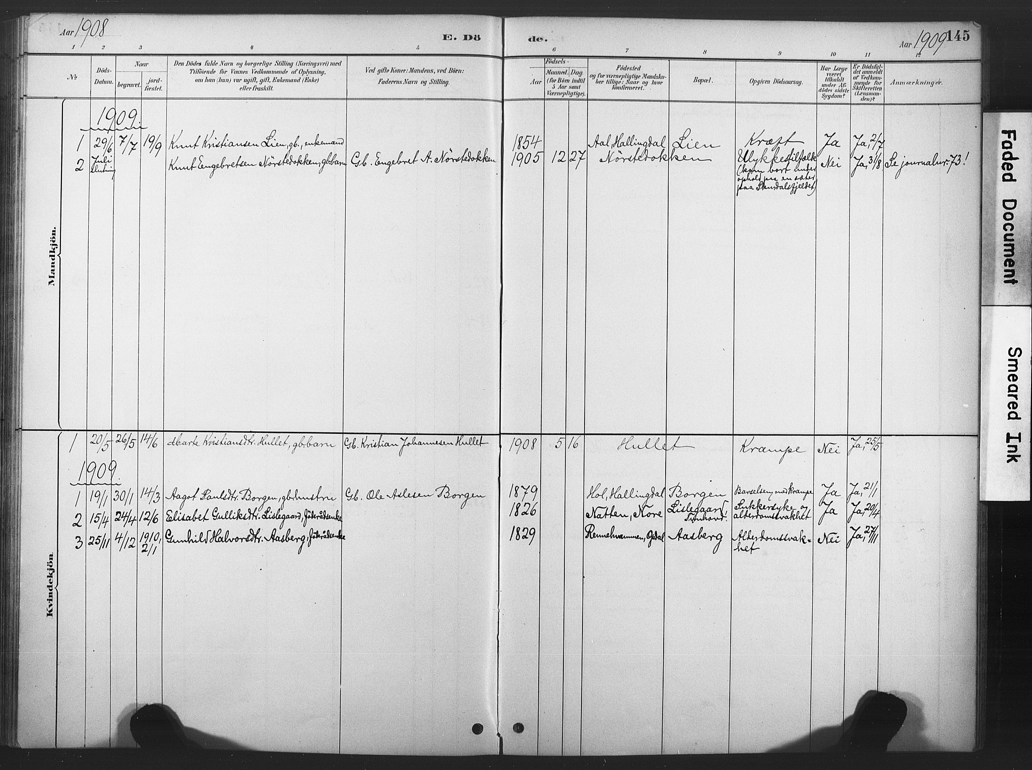 Nore kirkebøker, SAKO/A-238/F/Fd/L0001: Parish register (official) no. IV 1, 1878-1918, p. 145