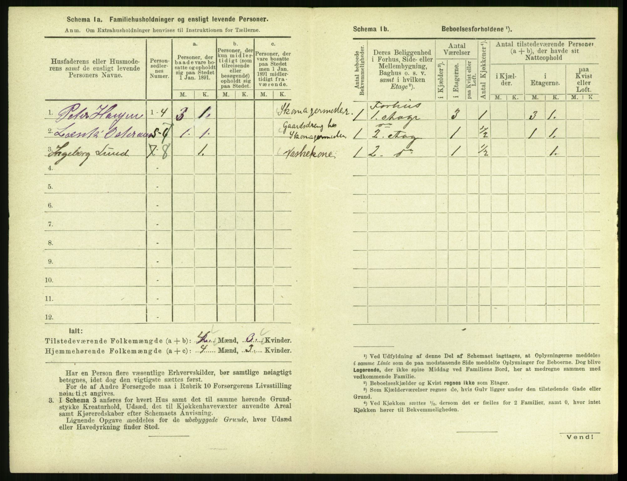 RA, 1891 census for 1702 Steinkjer, 1891, p. 357