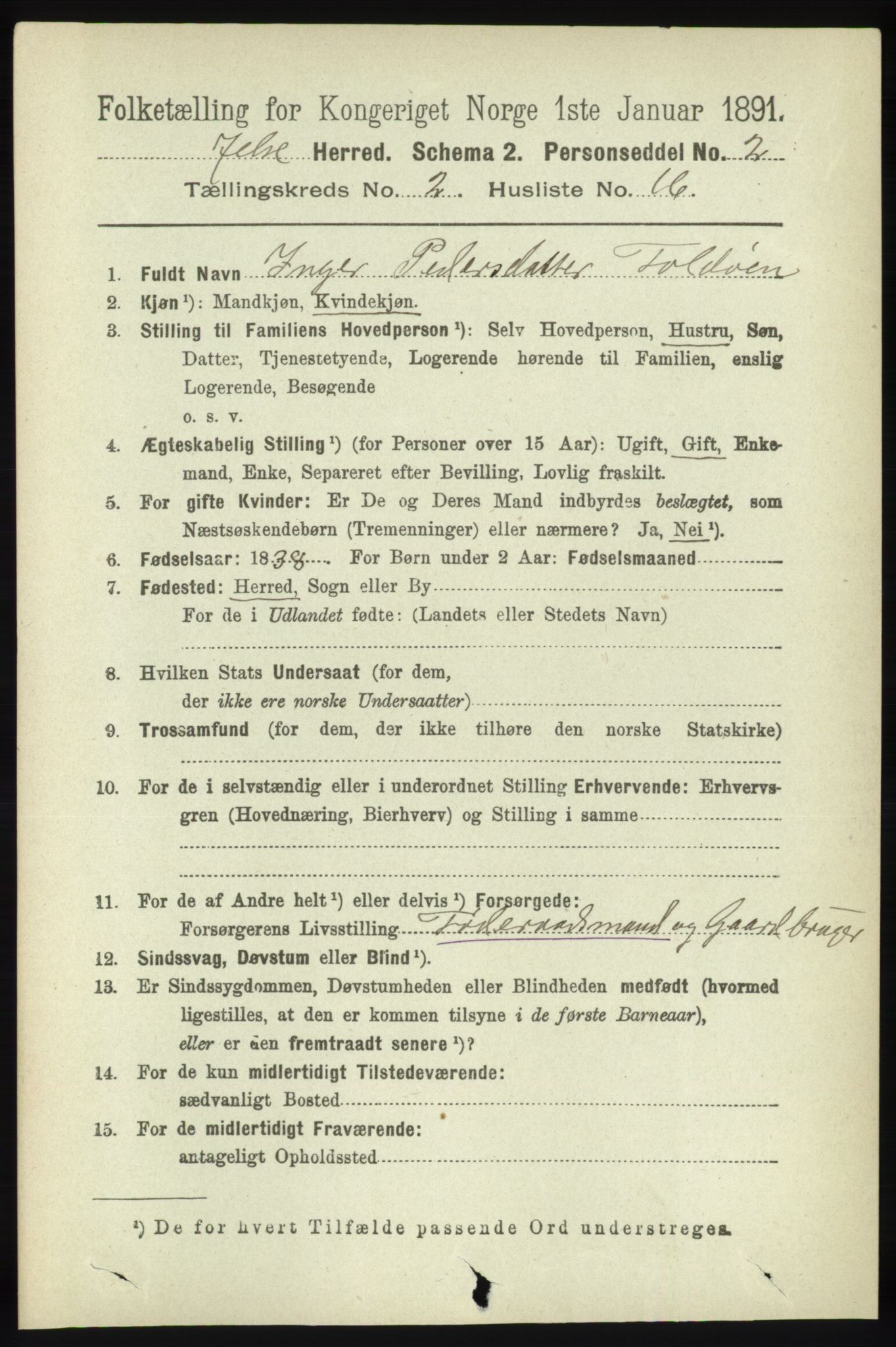 RA, 1891 census for 1138 Jelsa, 1891, p. 323