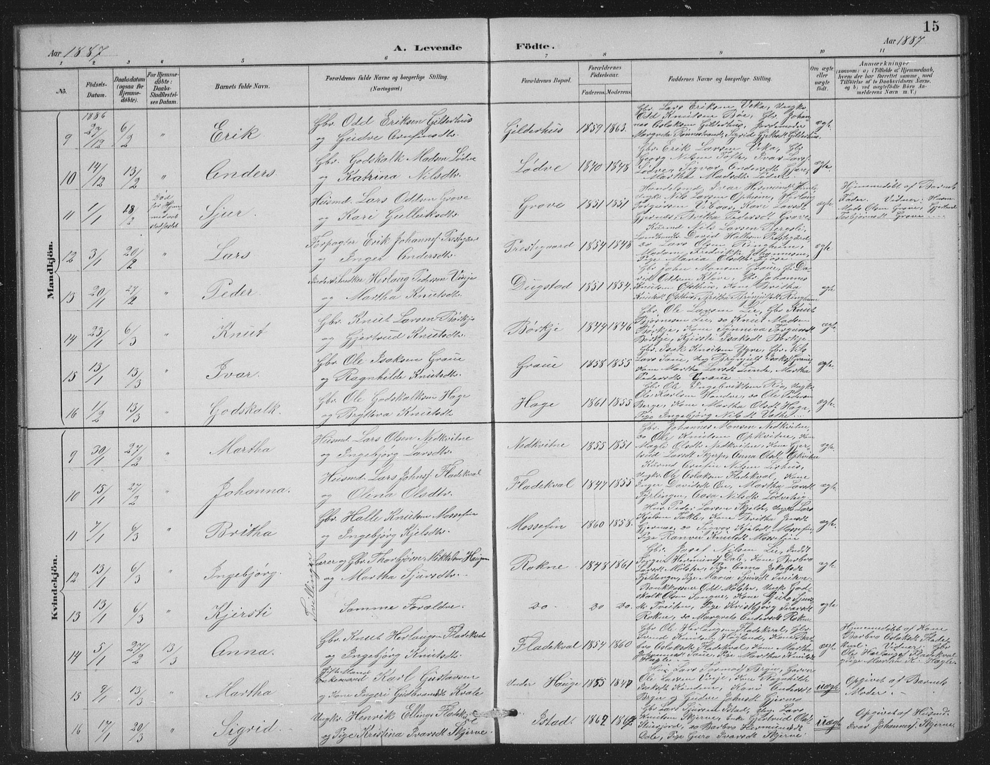 Voss sokneprestembete, SAB/A-79001/H/Hab: Parish register (copy) no. C 1, 1886-1899, p. 15