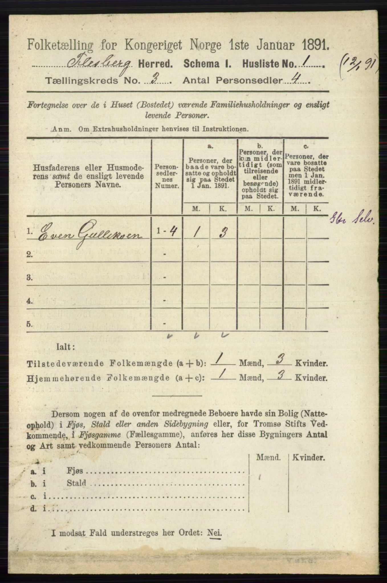 RA, 1891 census for 0631 Flesberg, 1891, p. 394