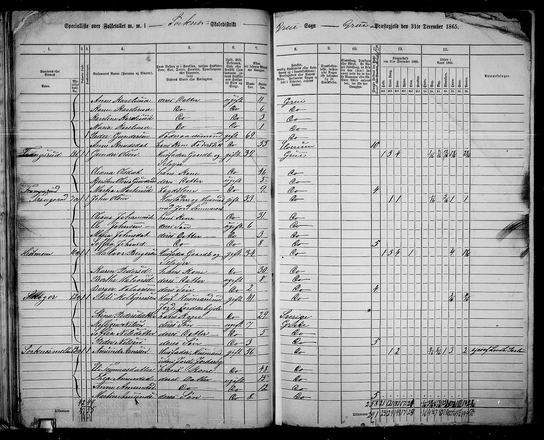 RA, 1865 census for Grue, 1865, p. 38