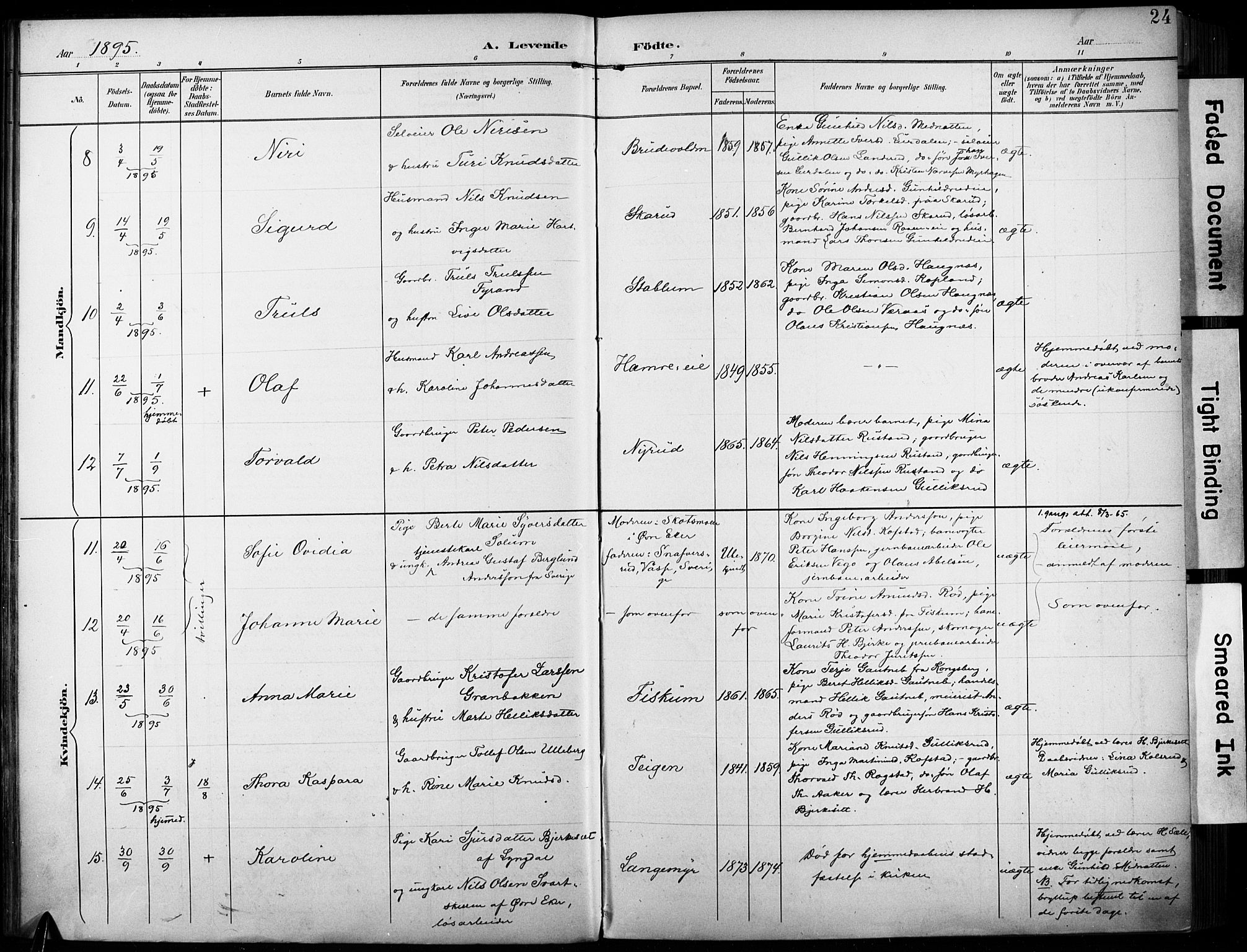 Fiskum kirkebøker, SAKO/A-15/F/Fa/L0003: Parish register (official) no. 3, 1890-1905, p. 24
