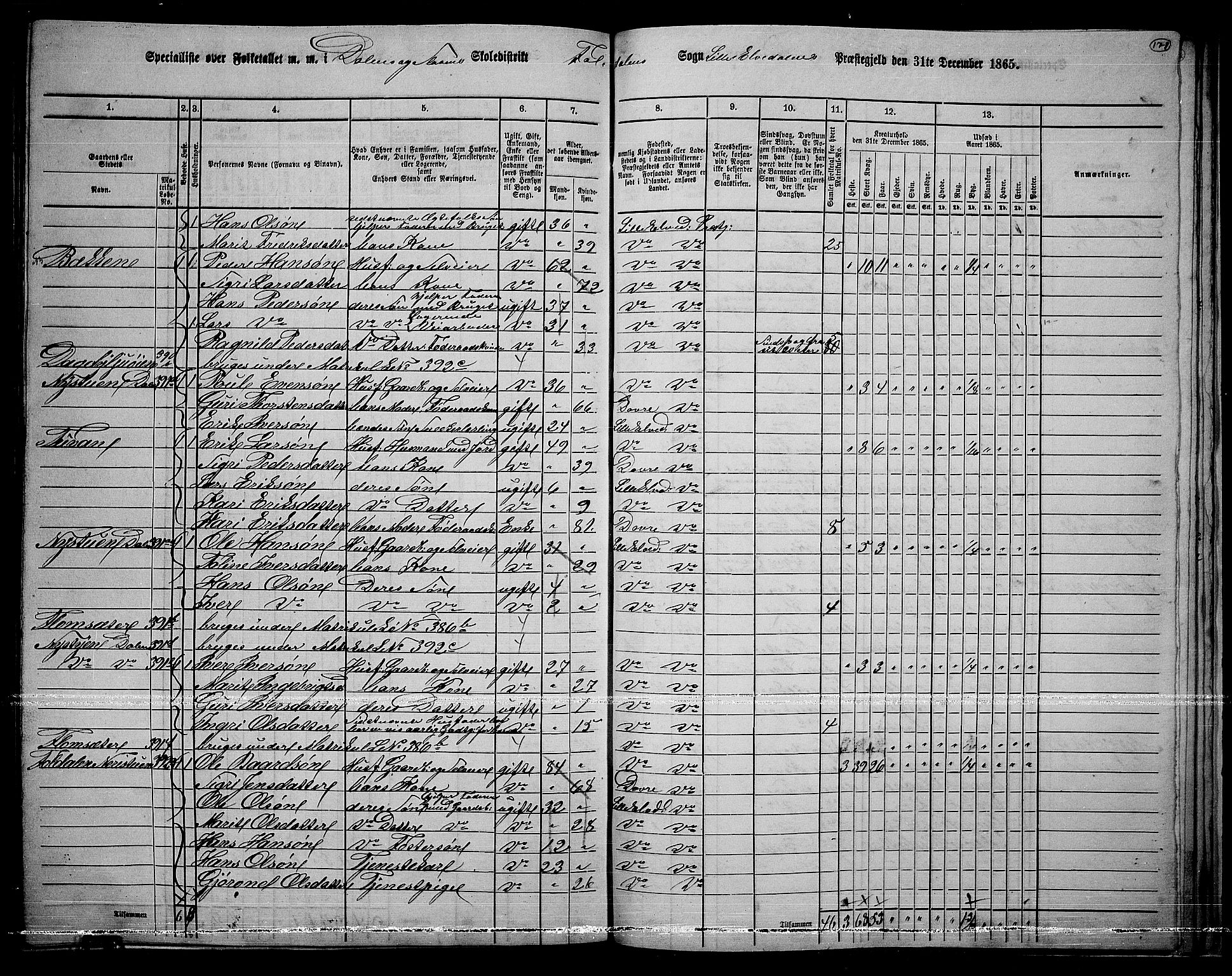 RA, 1865 census for Lille Elvedalen, 1865, p. 141