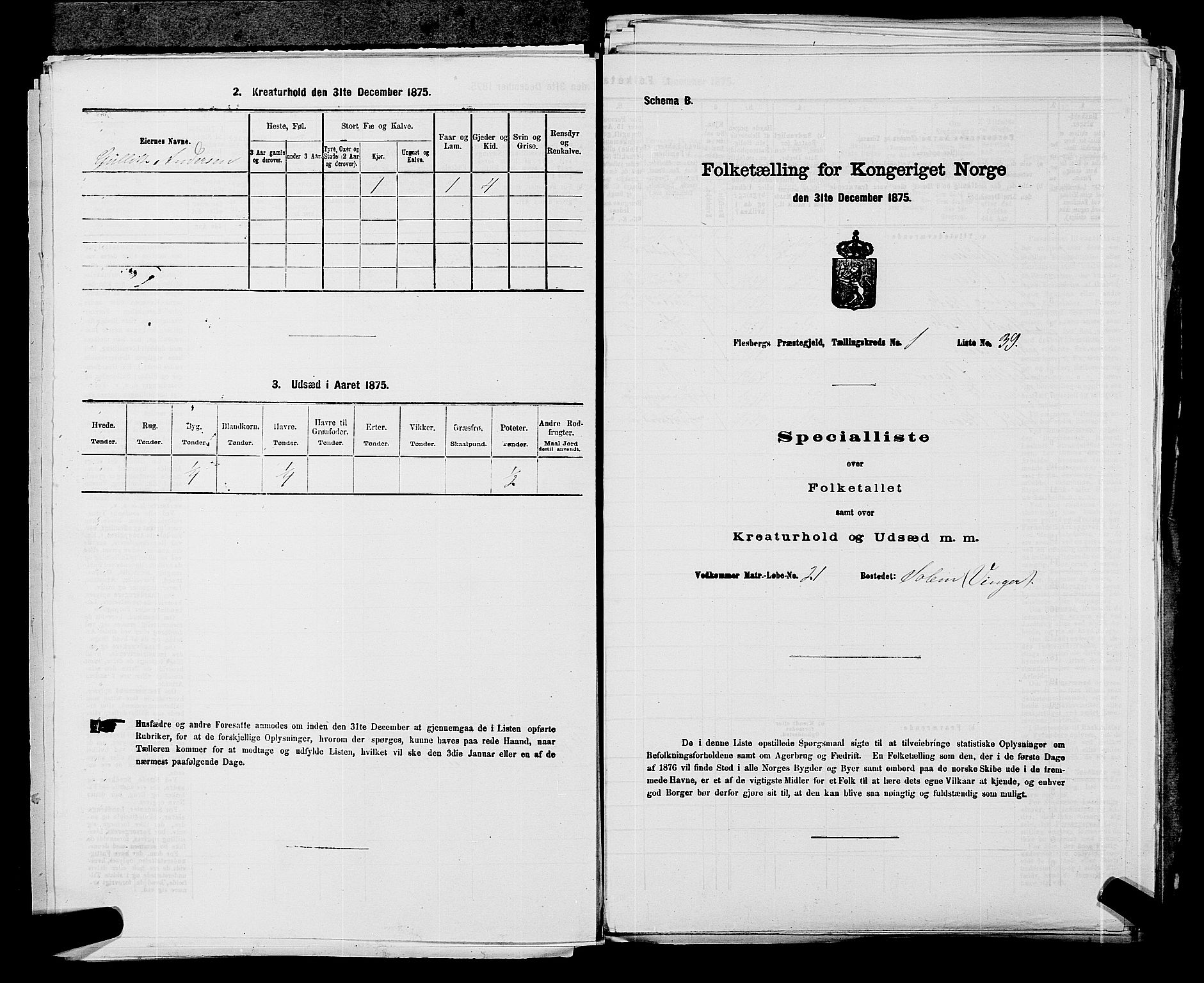 SAKO, 1875 census for 0631P Flesberg, 1875, p. 132