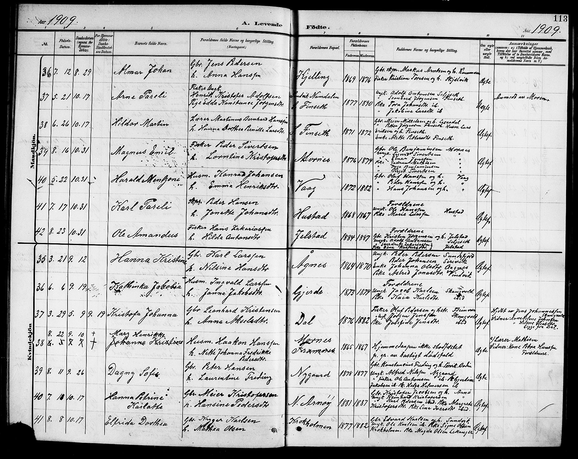 Ministerialprotokoller, klokkerbøker og fødselsregistre - Nordland, AV/SAT-A-1459/805/L0109: Parish register (copy) no. 805C05, 1900-1911, p. 113