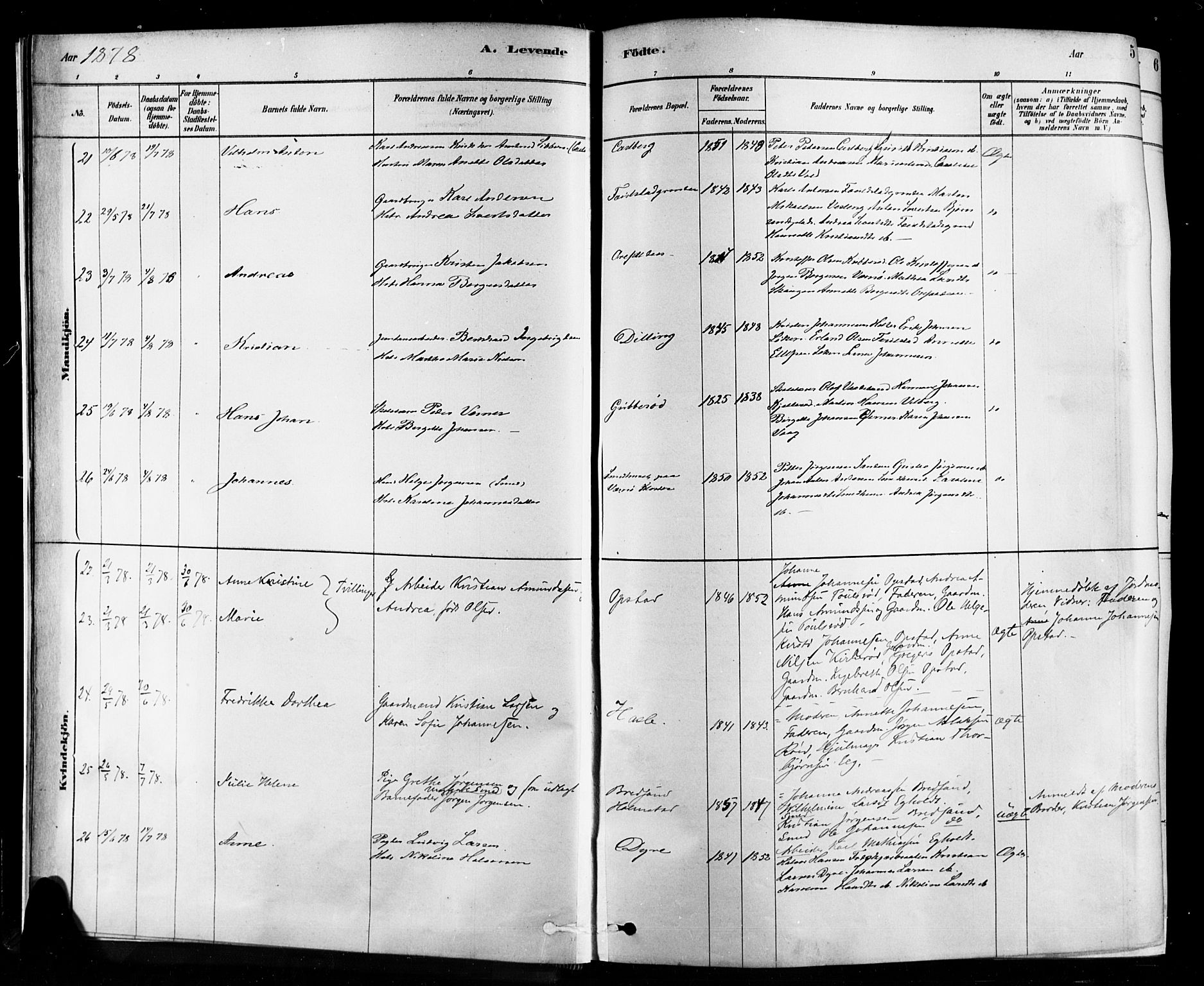 Rygge prestekontor Kirkebøker, AV/SAO-A-10084b/F/Fa/L0007: Parish register (official) no. 7, 1878-1904, p. 5