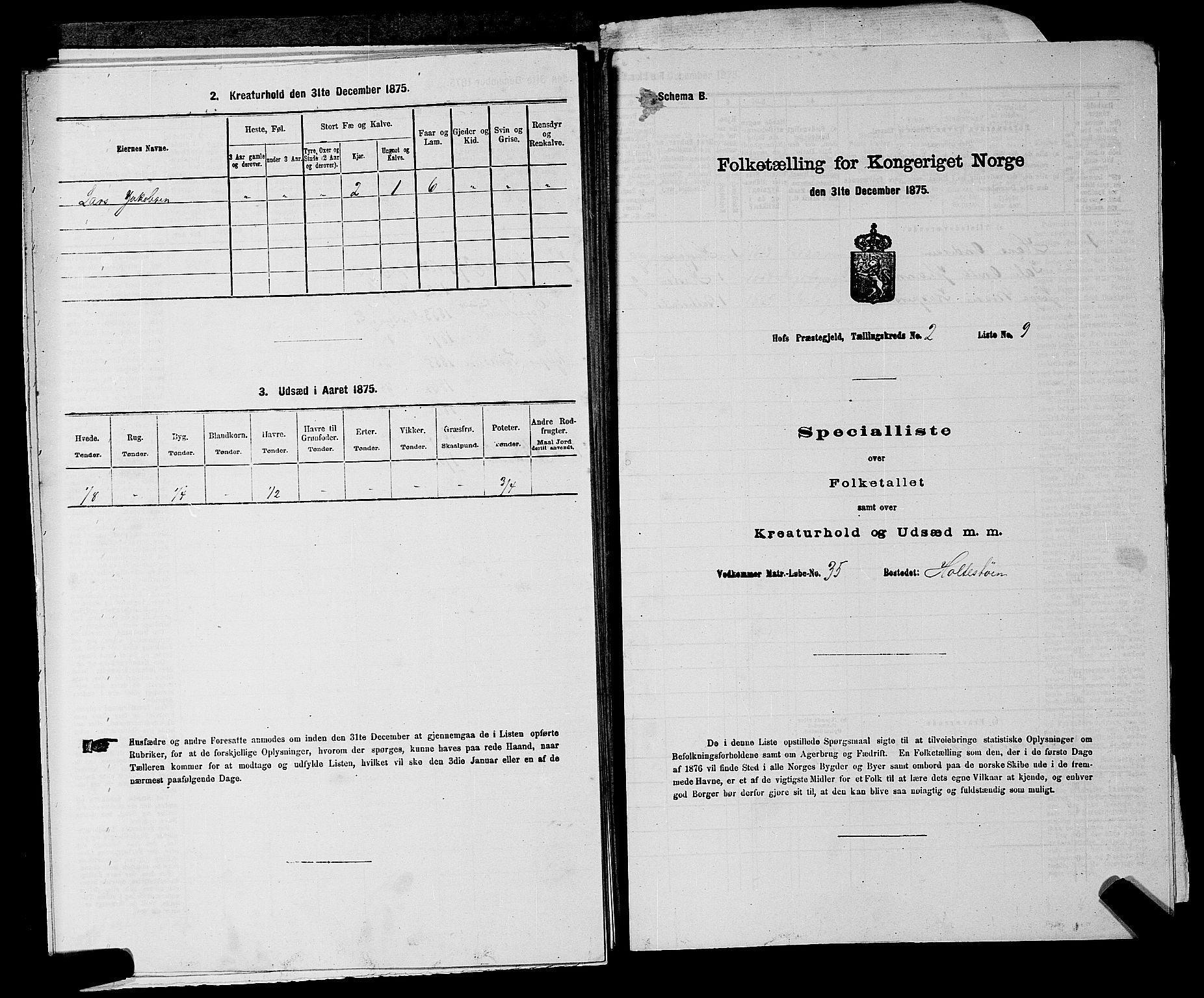 SAKO, 1875 census for 0714P Hof, 1875, p. 258