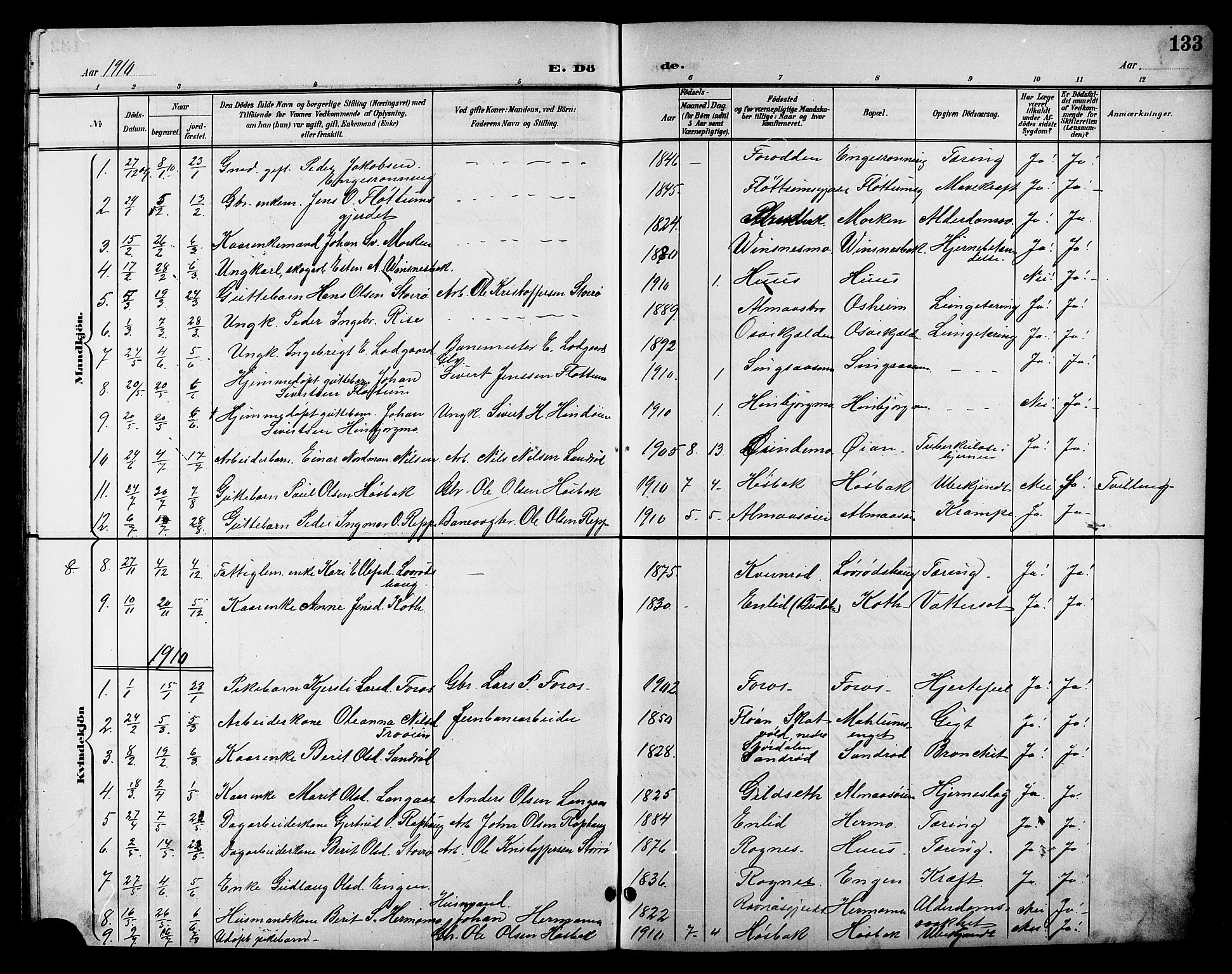 Ministerialprotokoller, klokkerbøker og fødselsregistre - Sør-Trøndelag, SAT/A-1456/688/L1029: Parish register (copy) no. 688C04, 1899-1915, p. 133