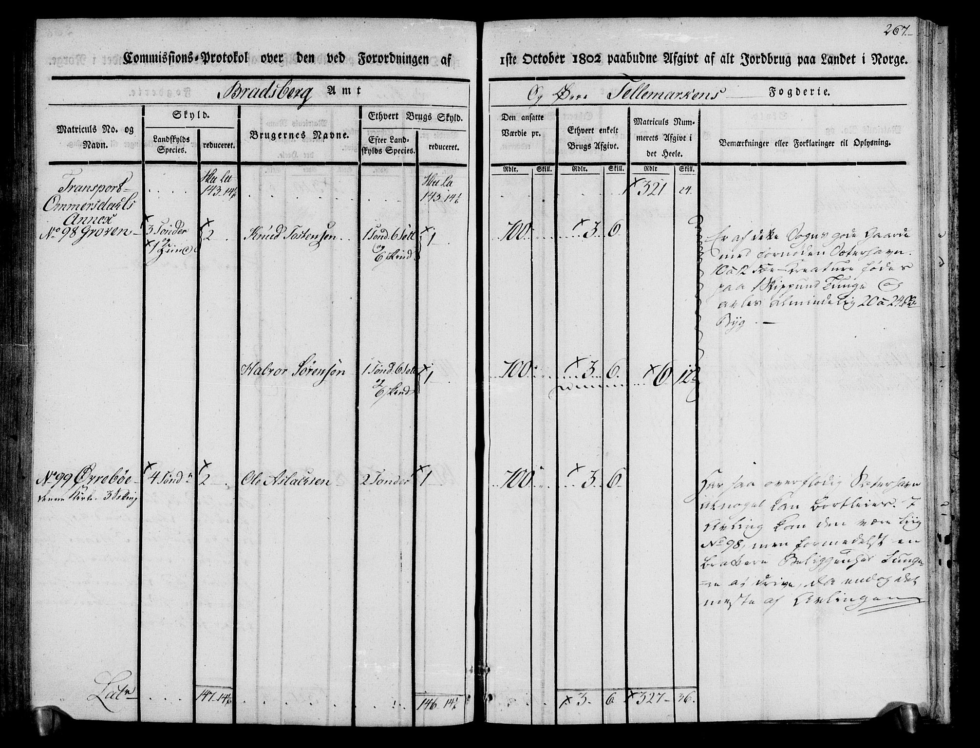 Rentekammeret inntil 1814, Realistisk ordnet avdeling, AV/RA-EA-4070/N/Ne/Nea/L0074: Øvre Telemarken fogderi. Kommisjonsprotokoll for fogderiets østre del - Tinn, Hjartdal og Seljord prestegjeld., 1803, p. 267