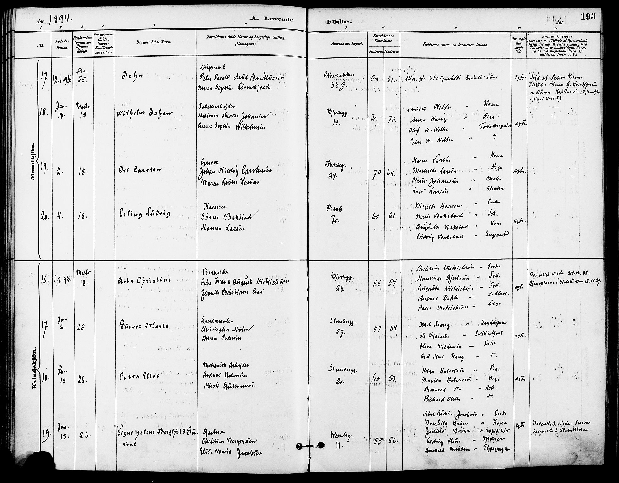 Gamle Aker prestekontor Kirkebøker, AV/SAO-A-10617a/F/L0008: Parish register (official) no. 8, 1887-1896, p. 193