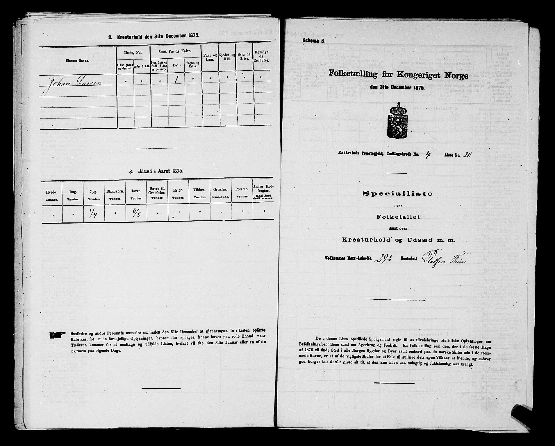 RA, 1875 census for 0128P Rakkestad, 1875, p. 595