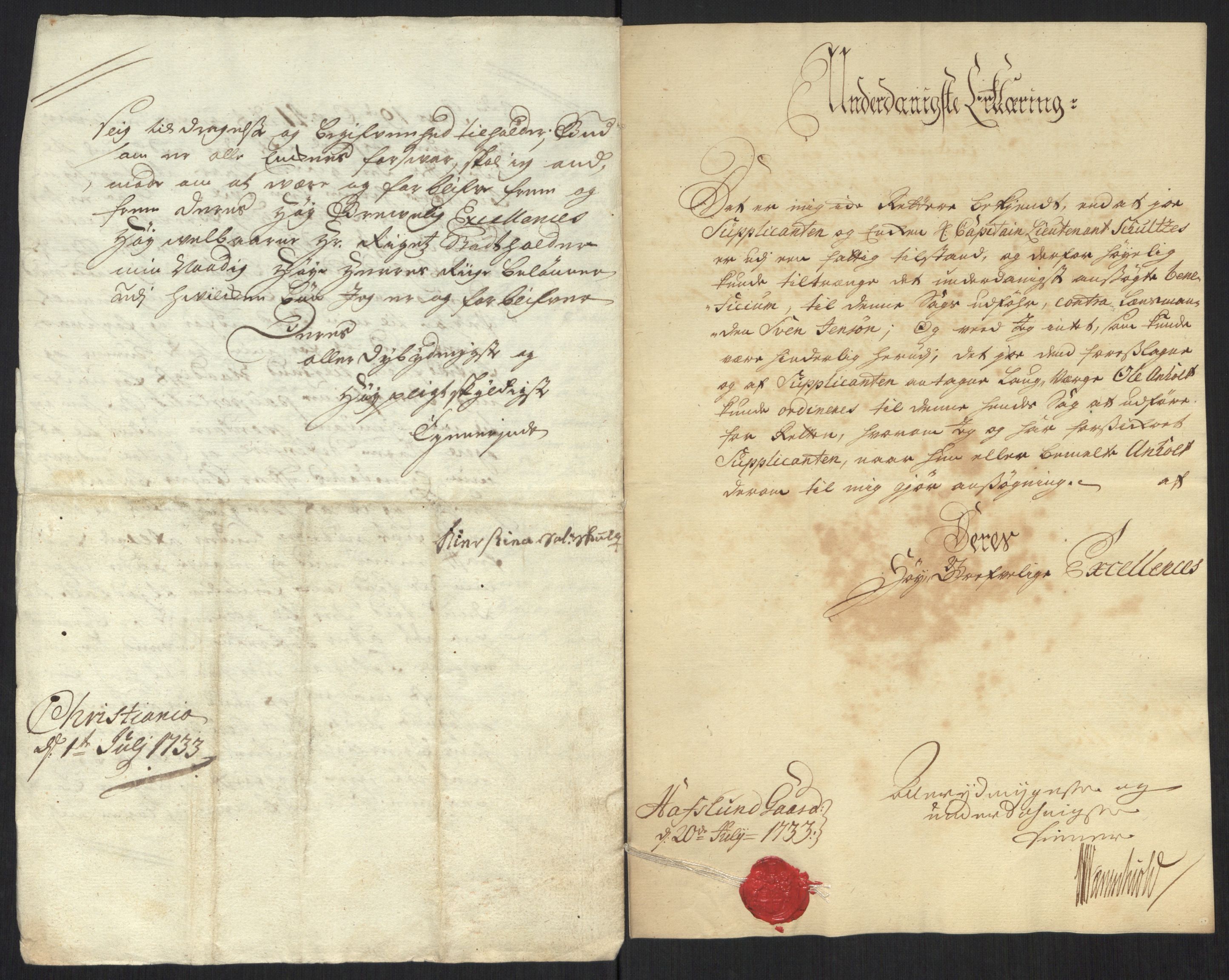 Stattholderembetet 1572-1771, AV/RA-EA-2870/Ef/L0107: Brev fra embetsmenn og andre, 1733-1734, p. 113