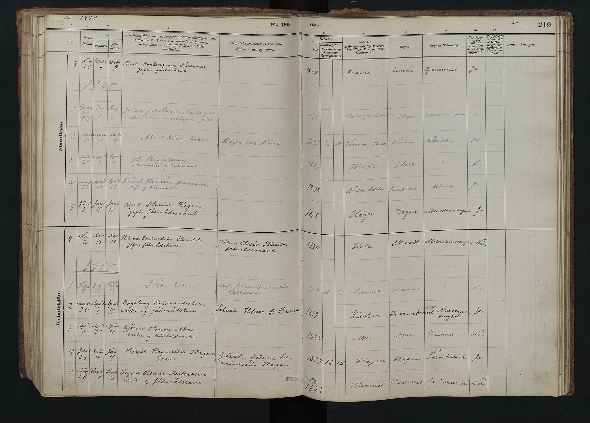 Rendalen prestekontor, SAH/PREST-054/H/Ha/Hab/L0009: Parish register (copy) no. 9, 1879-1902, p. 219