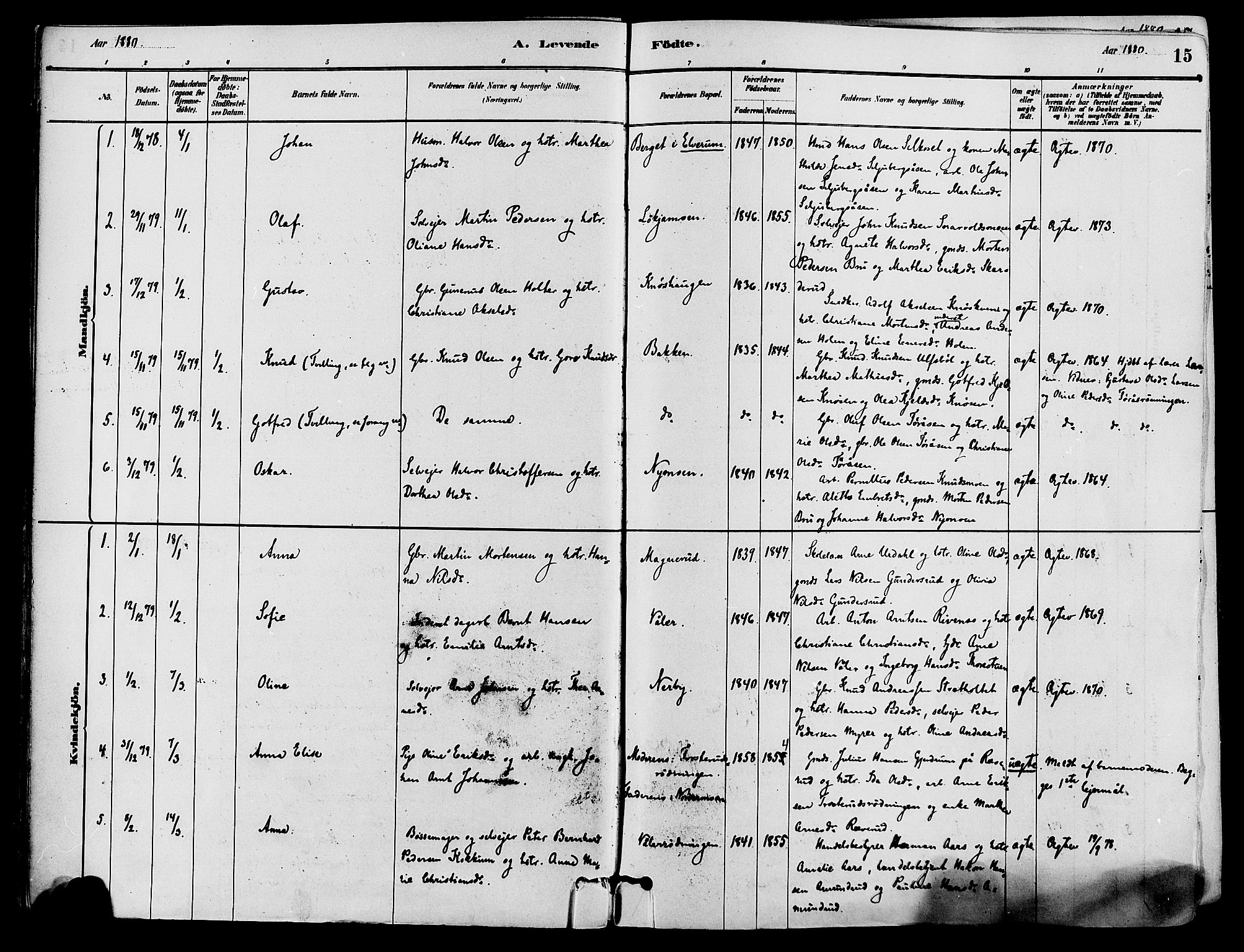 Våler prestekontor, Hedmark, AV/SAH-PREST-040/H/Ha/Haa/L0002: Parish register (official) no. 3, 1879-1911, p. 15