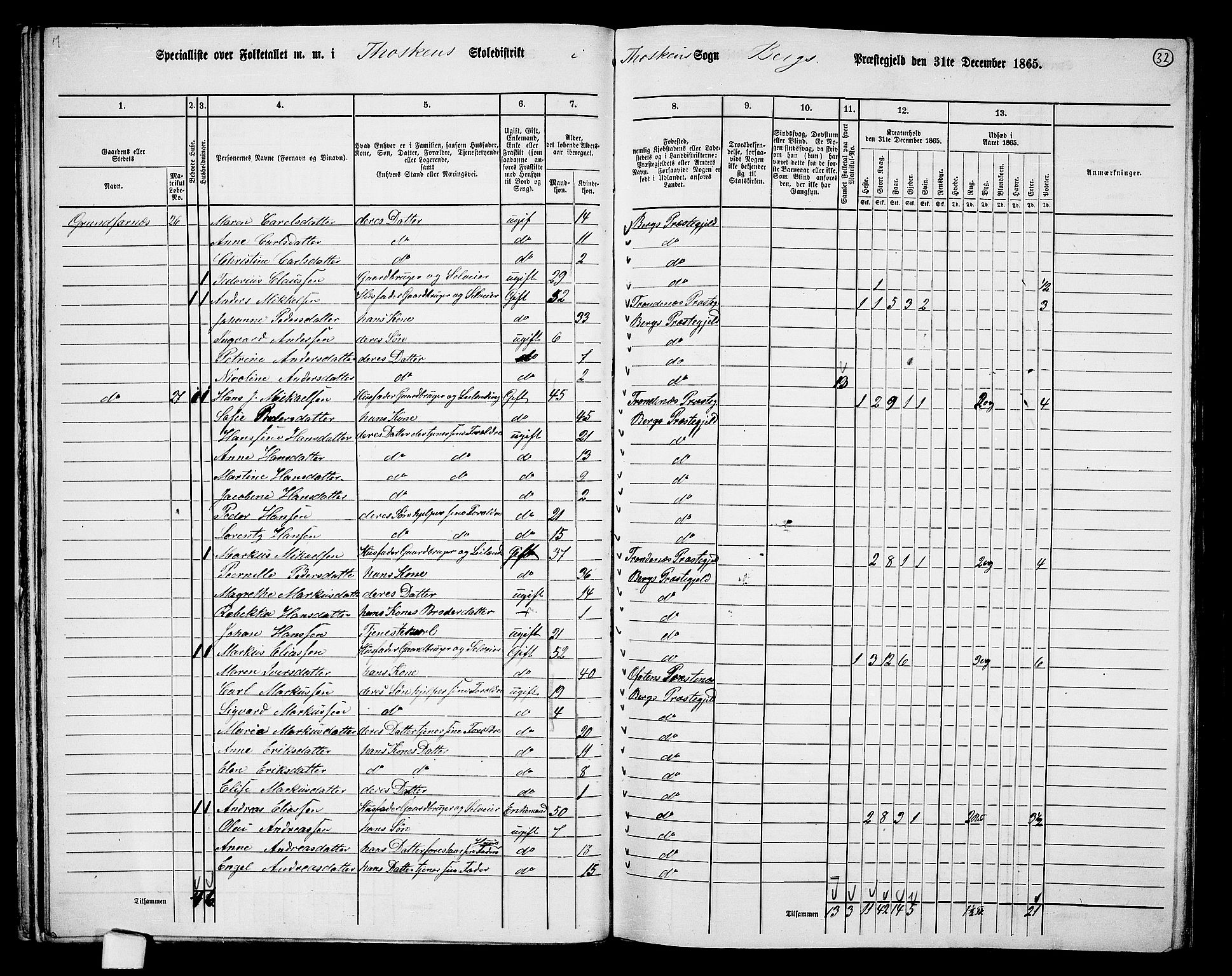 RA, 1865 census for Berg, 1865, p. 31