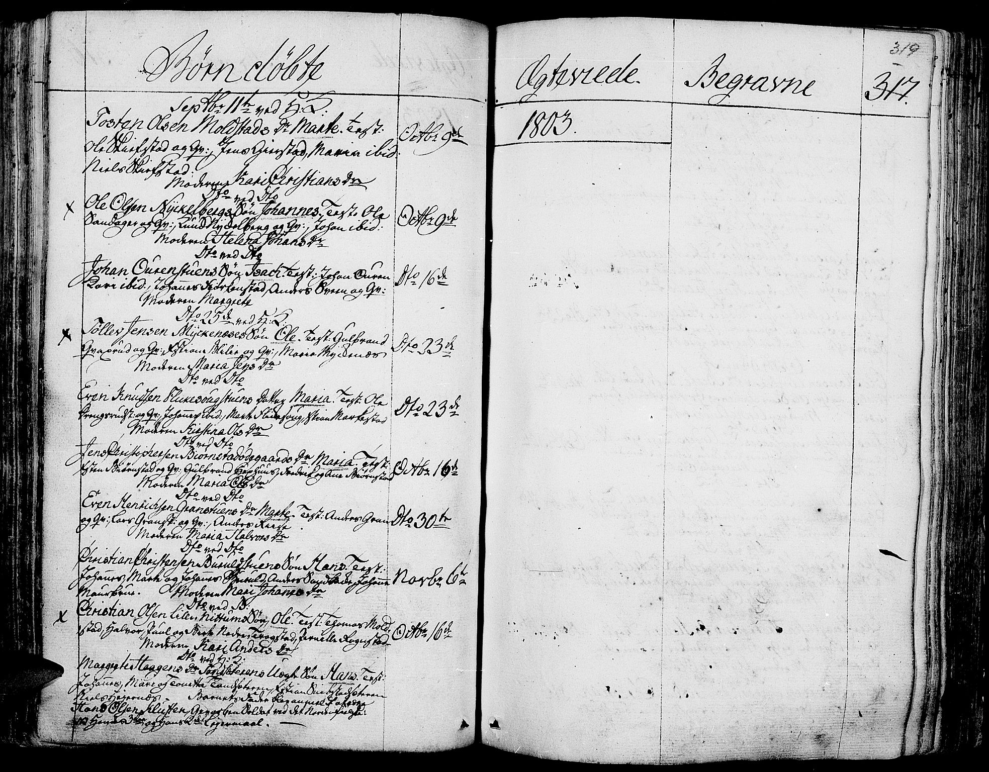 Toten prestekontor, SAH/PREST-102/H/Ha/Haa/L0007: Parish register (official) no. 7, 1794-1809, p. 319