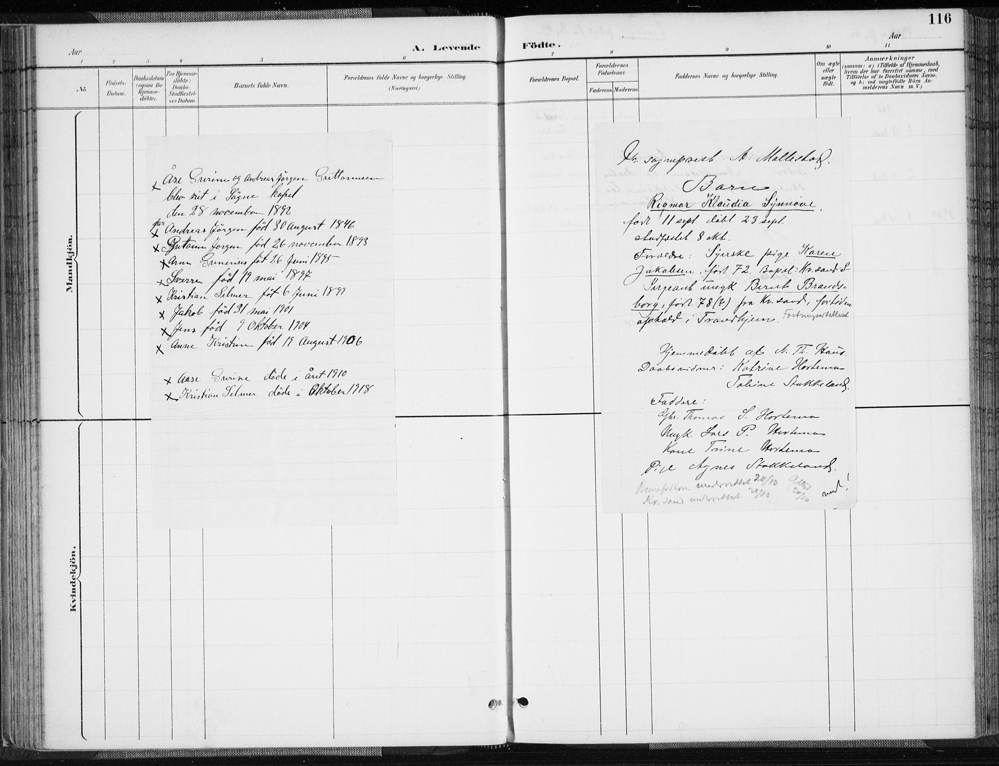 Søgne sokneprestkontor, SAK/1111-0037/F/Fa/Fab/L0013: Parish register (official) no. A 13, 1892-1911, p. 116