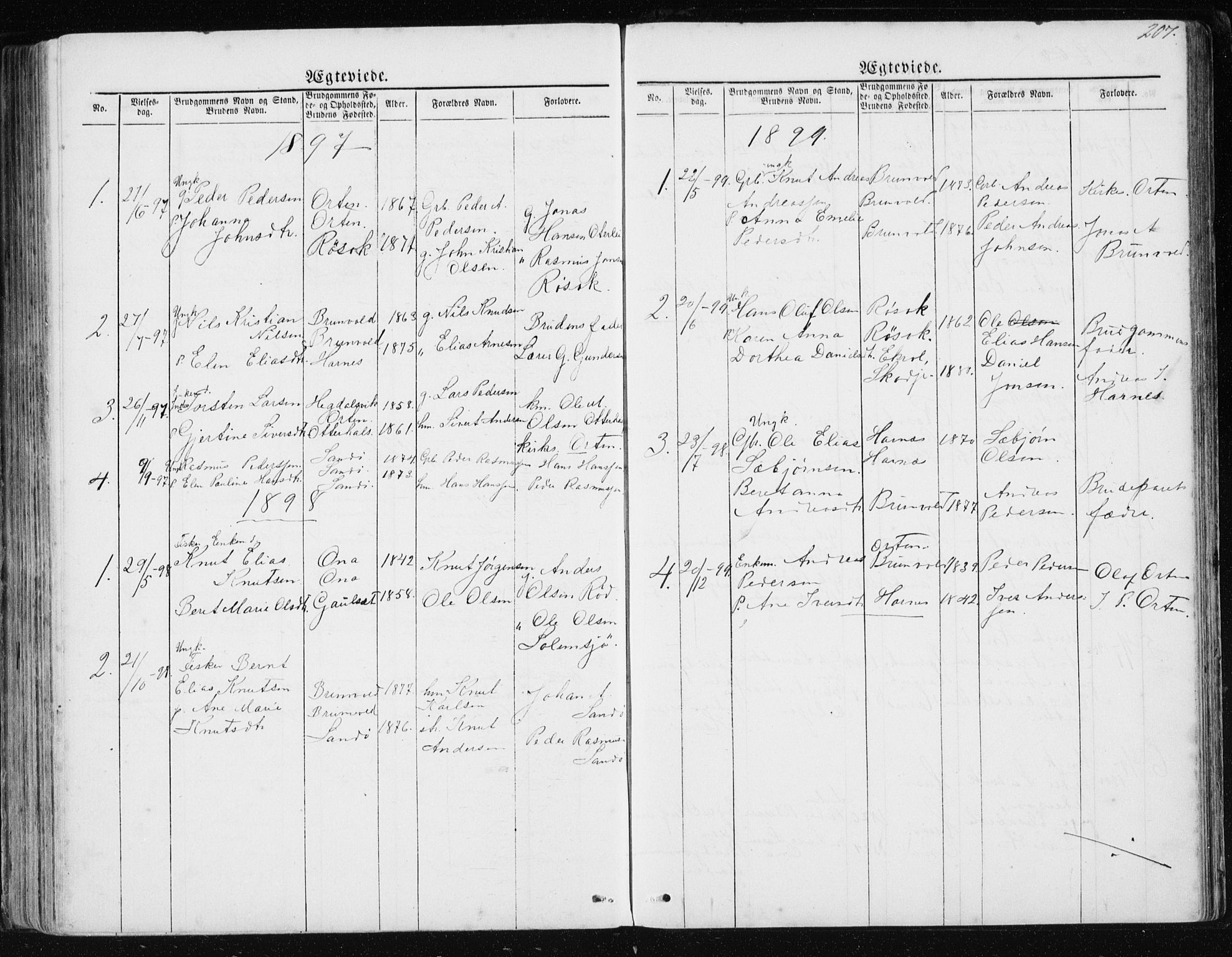 Ministerialprotokoller, klokkerbøker og fødselsregistre - Møre og Romsdal, AV/SAT-A-1454/561/L0732: Parish register (copy) no. 561C02, 1867-1900, p. 207