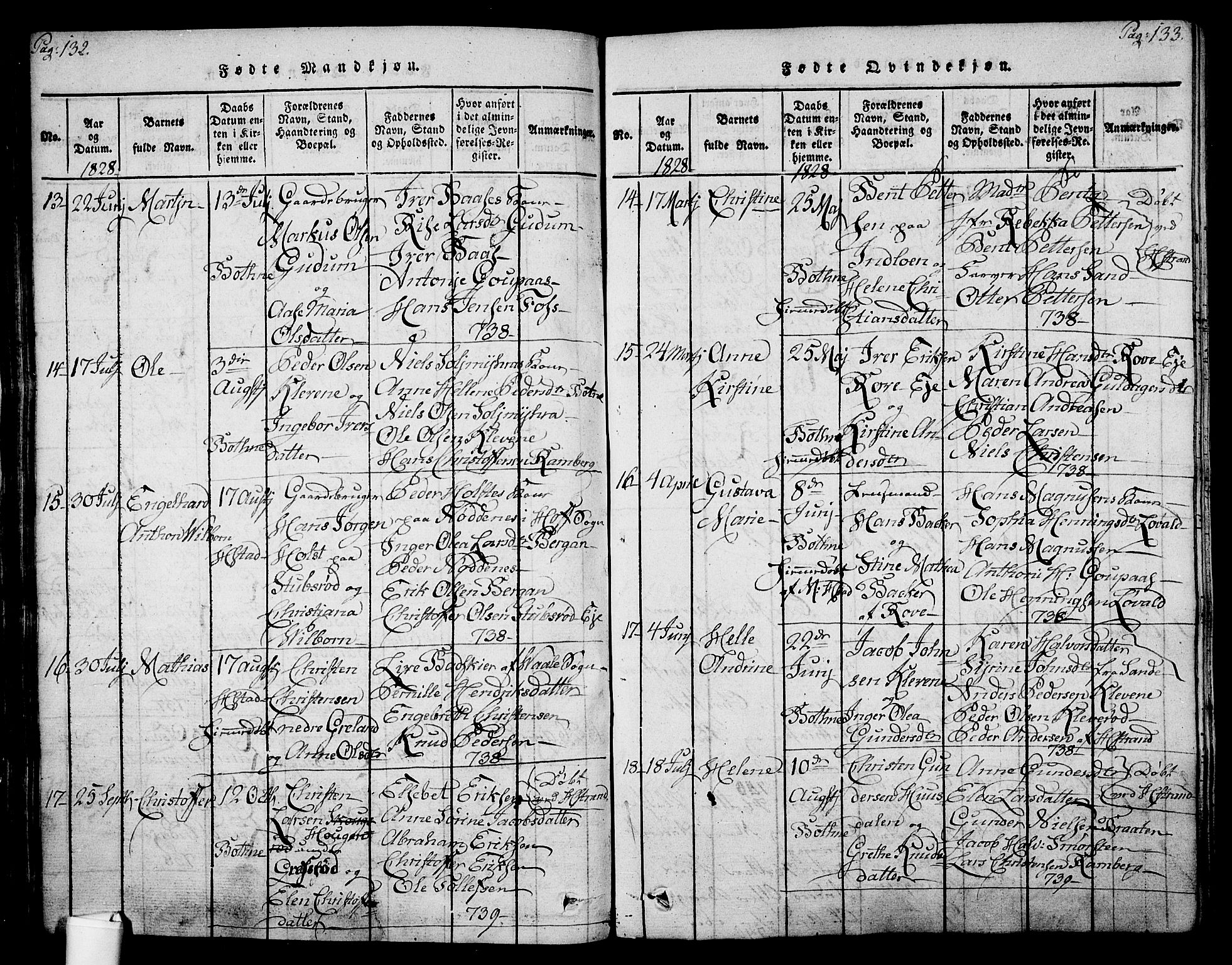 Botne kirkebøker, AV/SAKO-A-340/F/Fa/L0005: Parish register (official) no. I 5, 1814-1836, p. 132-133