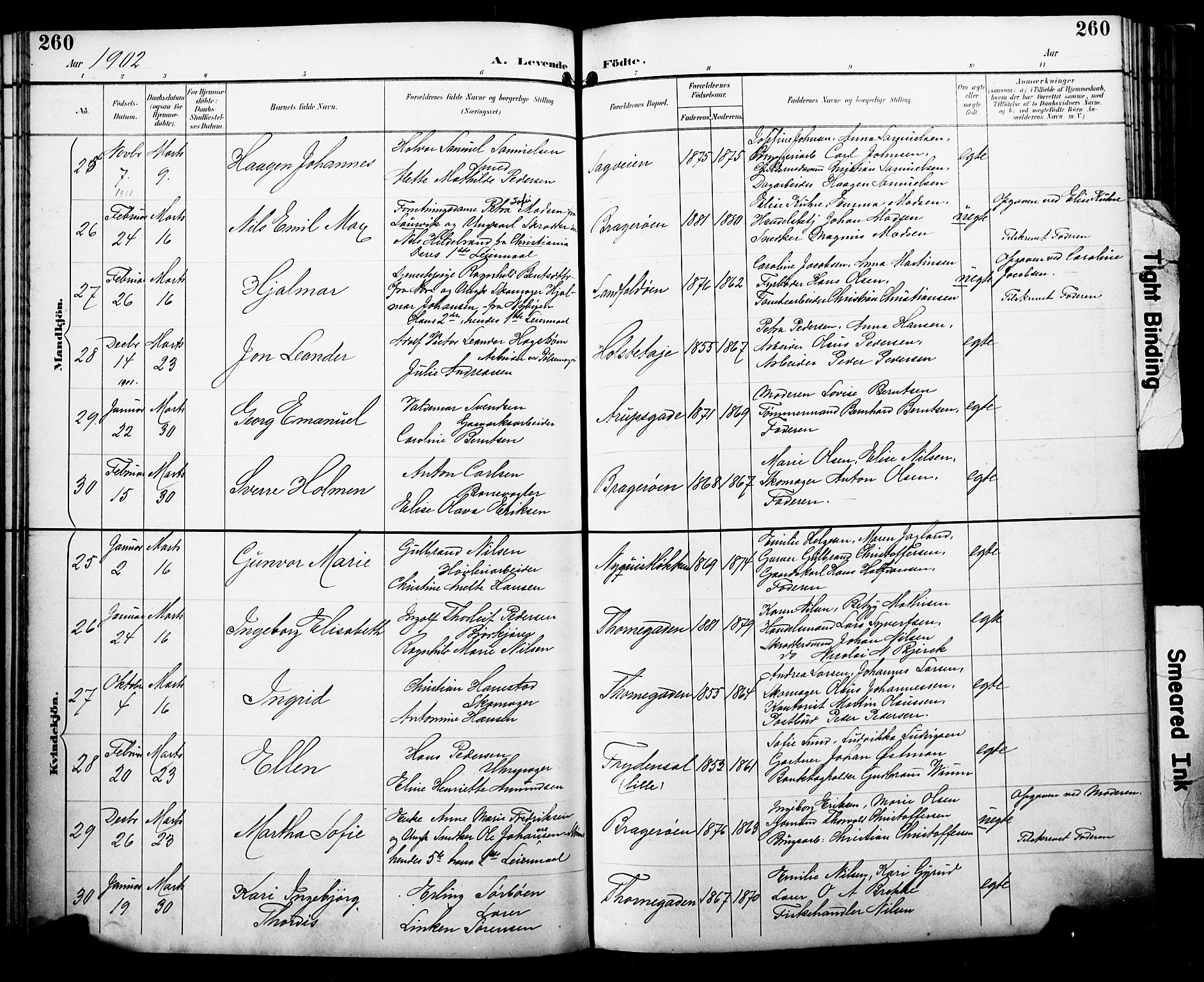 Bragernes kirkebøker, AV/SAKO-A-6/F/Fb/L0008: Parish register (official) no. II 8, 1894-1902, p. 260