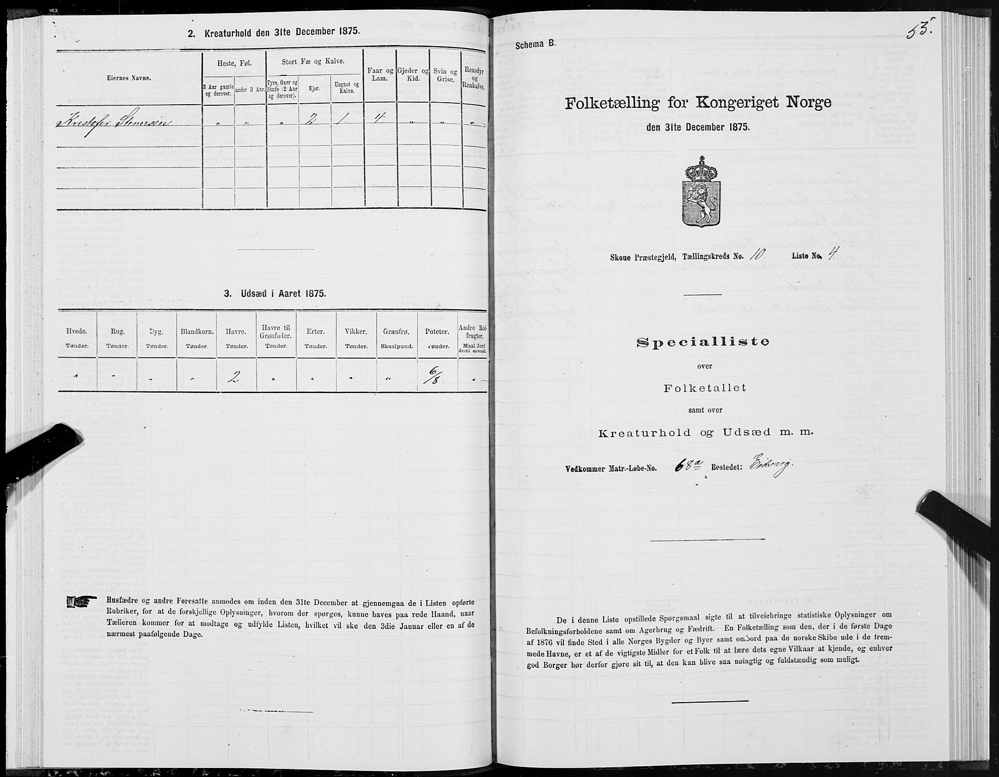 SAT, 1875 census for 1529P Skodje, 1875, p. 3055