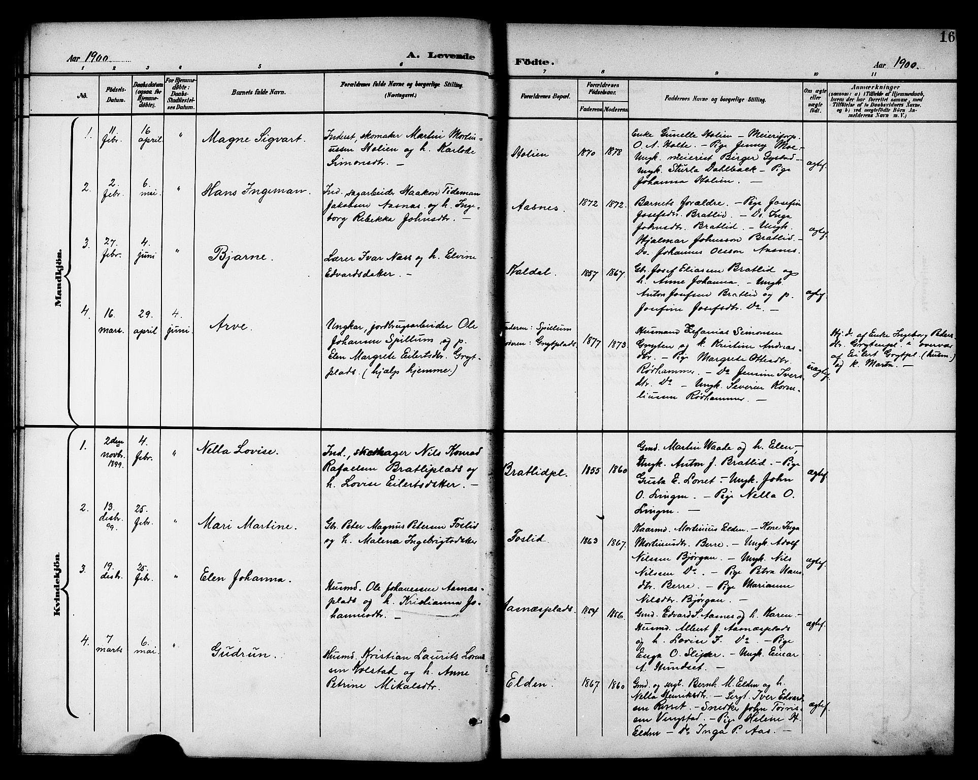 Ministerialprotokoller, klokkerbøker og fødselsregistre - Nord-Trøndelag, SAT/A-1458/742/L0412: Parish register (copy) no. 742C03, 1898-1910, p. 16