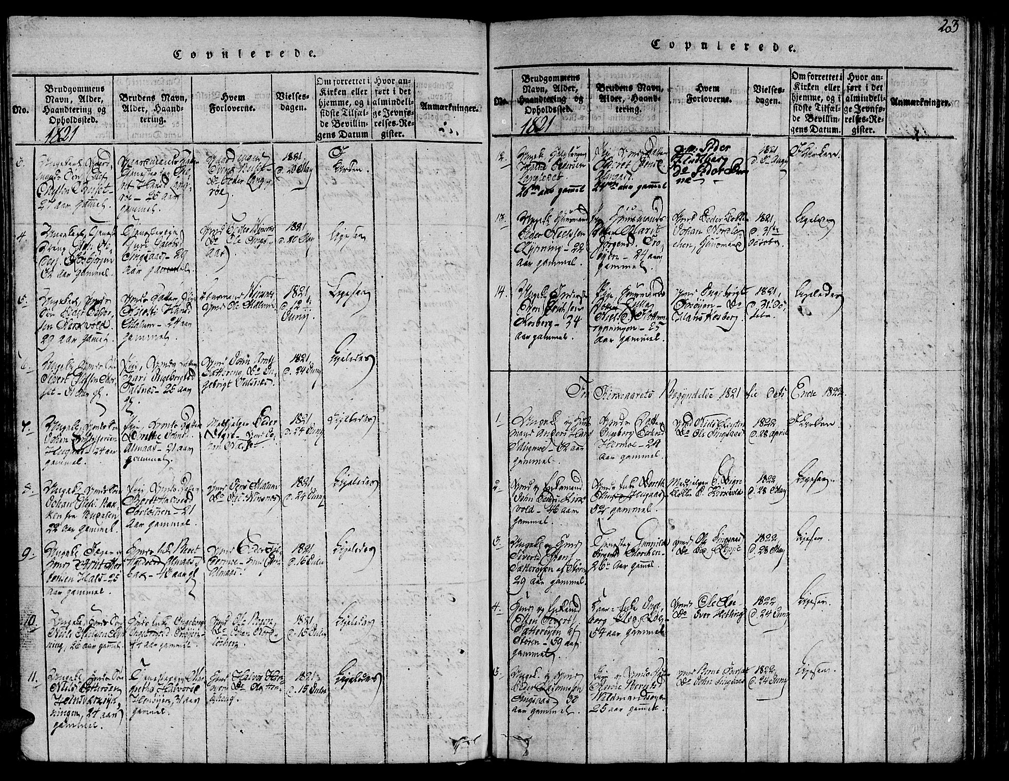 Ministerialprotokoller, klokkerbøker og fødselsregistre - Sør-Trøndelag, AV/SAT-A-1456/685/L0955: Parish register (official) no. 685A03 /2, 1817-1829, p. 203