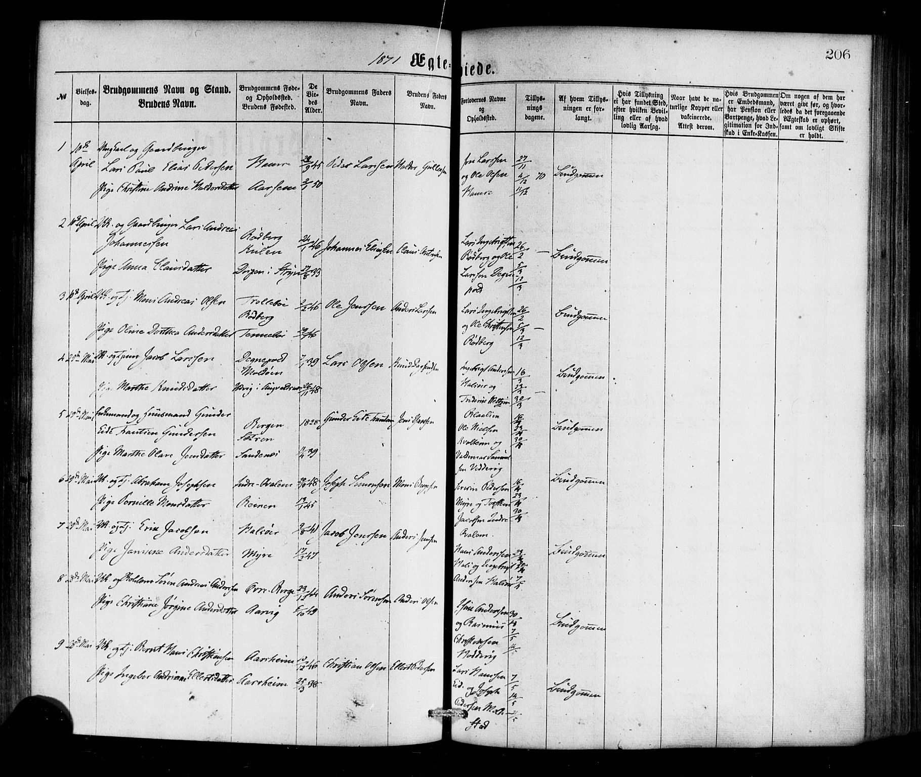 Selje sokneprestembete, SAB/A-99938/H/Ha/Haa/Haaa: Parish register (official) no. A 12, 1870-1880, p. 206