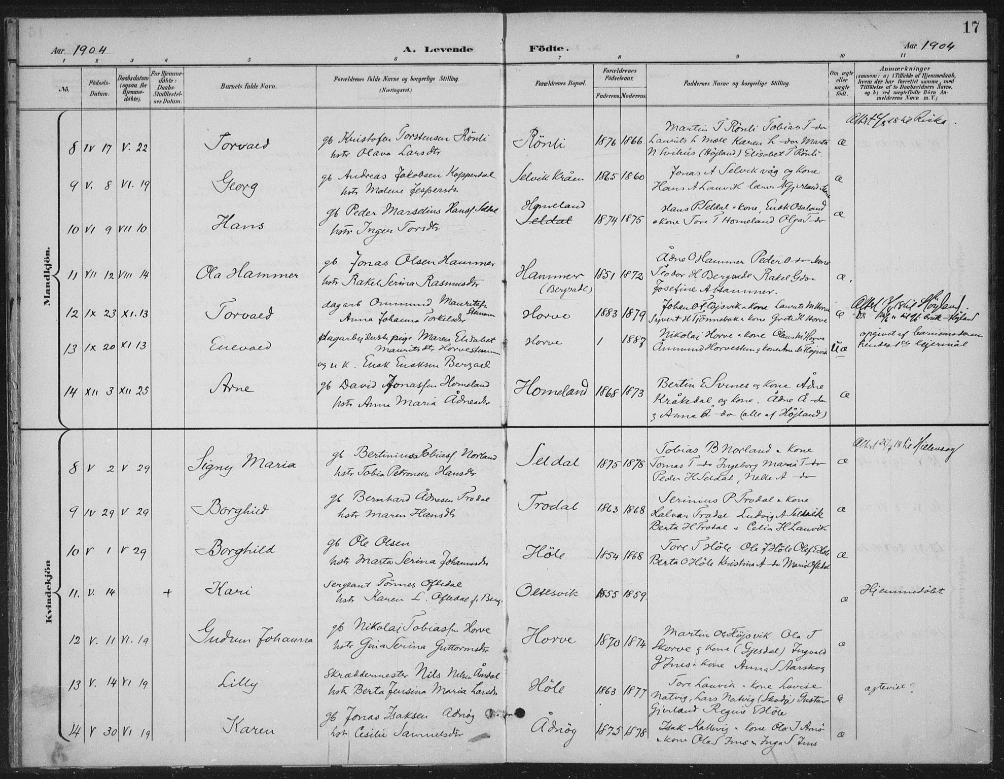Høgsfjord sokneprestkontor, SAST/A-101624/H/Ha/Haa/L0008: Parish register (official) no. A 8, 1898-1920, p. 17