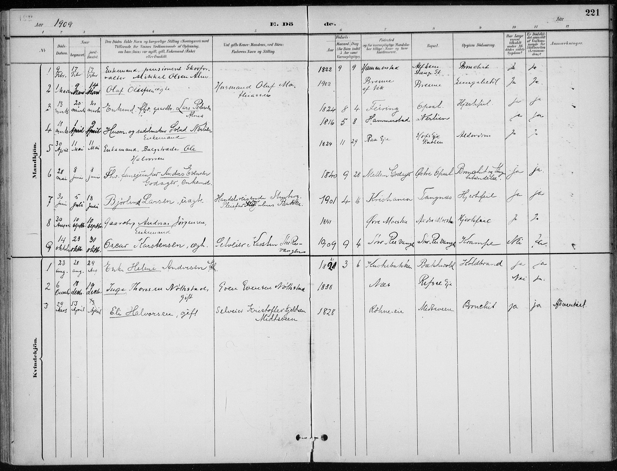 Stange prestekontor, SAH/PREST-002/K/L0023: Parish register (official) no. 23, 1897-1920, p. 221