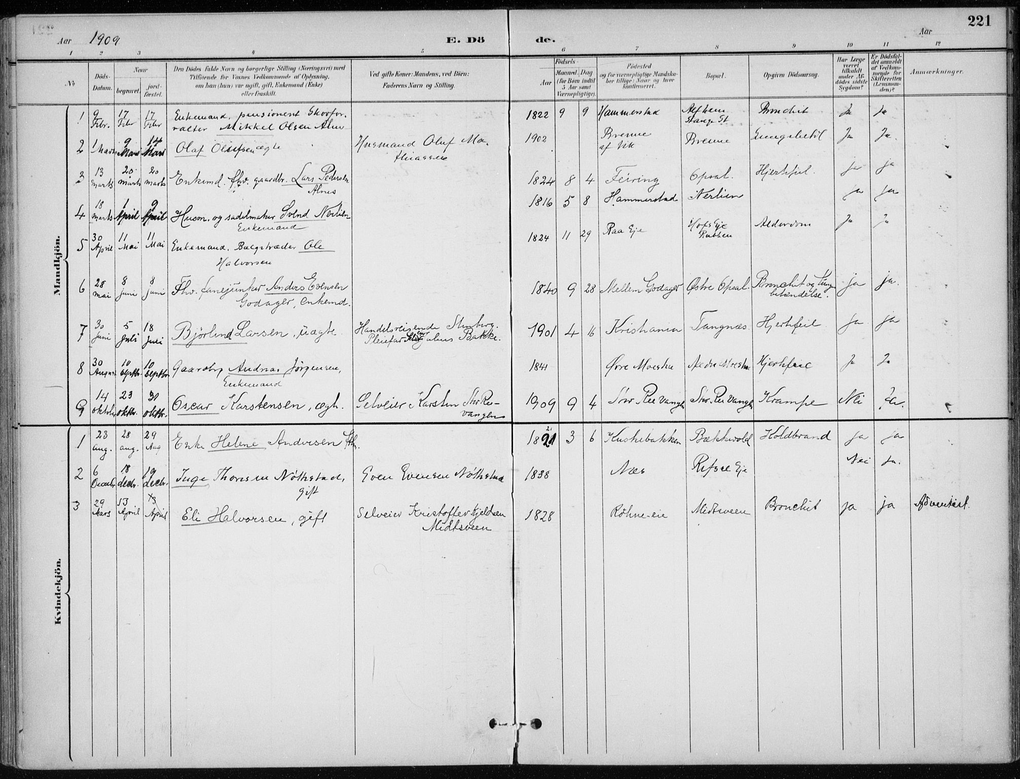 Stange prestekontor, AV/SAH-PREST-002/K/L0023: Parish register (official) no. 23, 1897-1920, p. 221