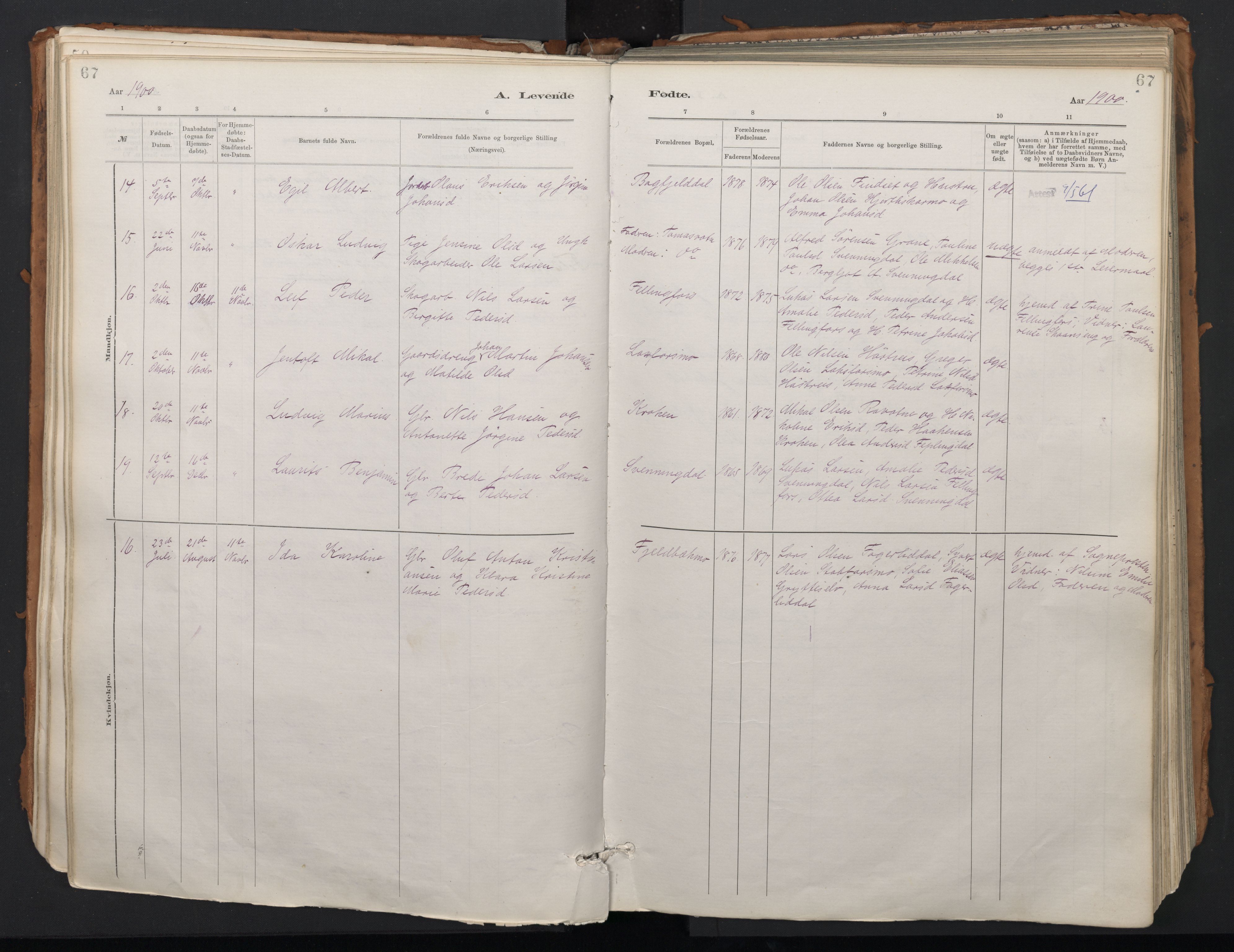 Ministerialprotokoller, klokkerbøker og fødselsregistre - Nordland, SAT/A-1459/824/L0338: Parish register (official) no. 824A01, 1880-1915, p. 67