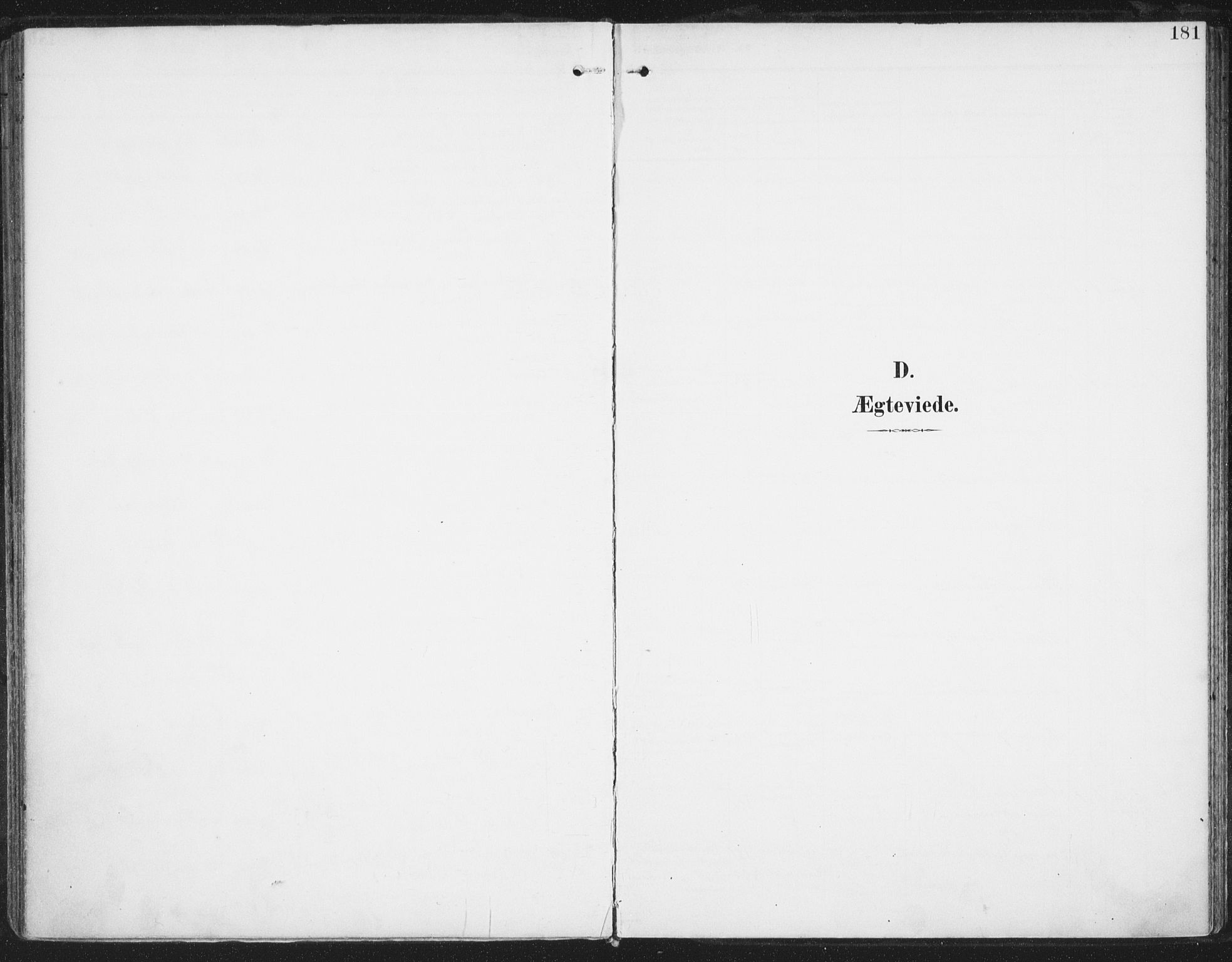 Ministerialprotokoller, klokkerbøker og fødselsregistre - Nordland, AV/SAT-A-1459/872/L1036: Parish register (official) no. 872A11, 1897-1913, p. 181