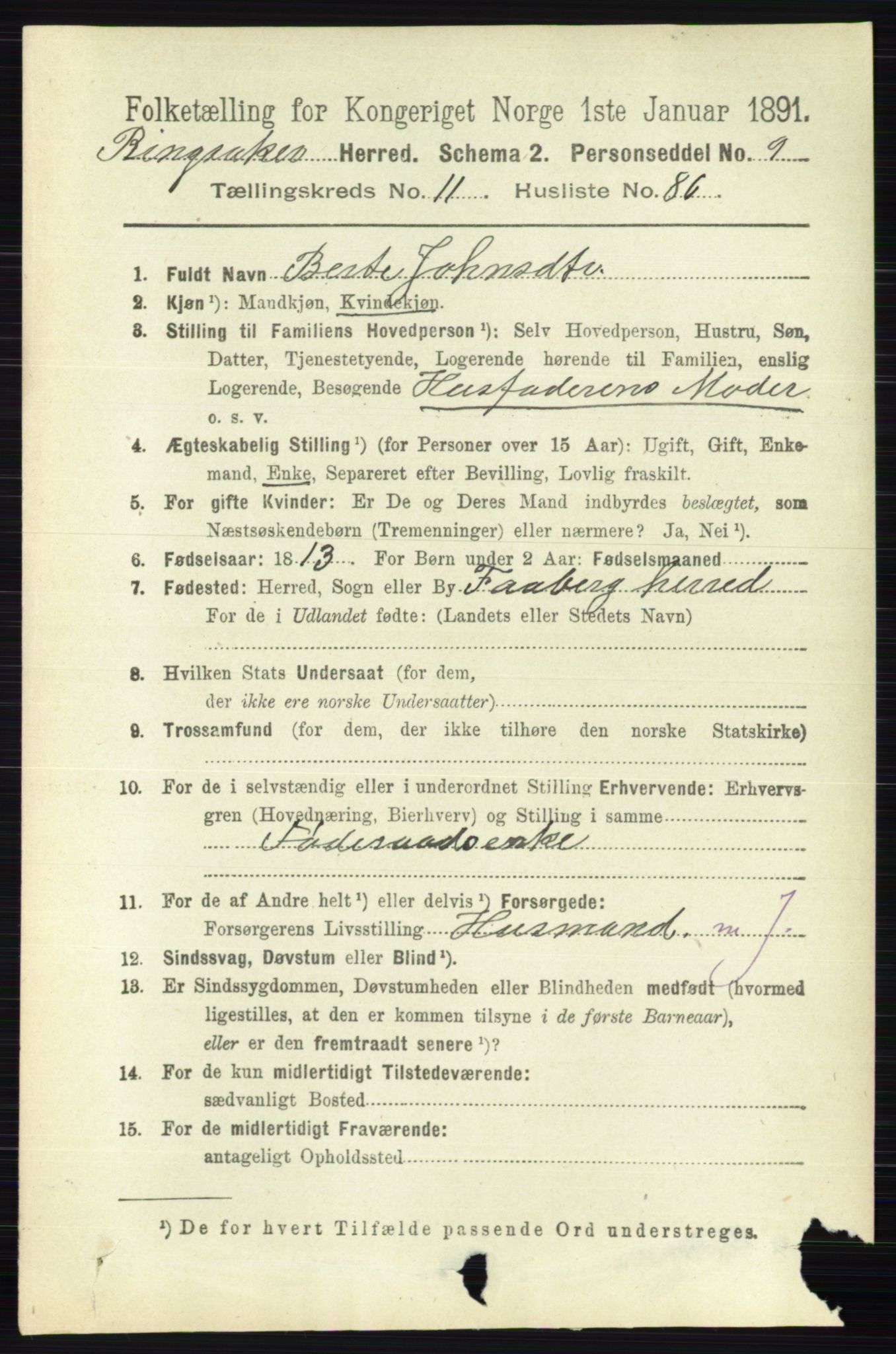 RA, 1891 census for 0412 Ringsaker, 1891, p. 6697