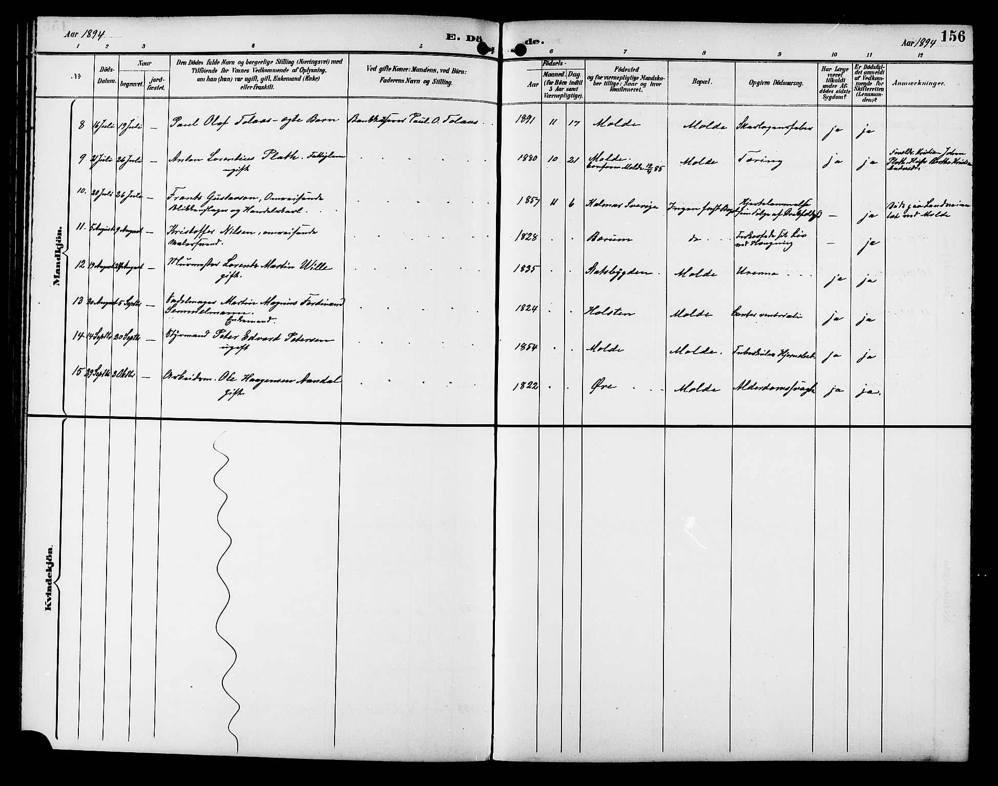 Ministerialprotokoller, klokkerbøker og fødselsregistre - Møre og Romsdal, AV/SAT-A-1454/558/L0702: Parish register (copy) no. 558C03, 1894-1915, p. 156