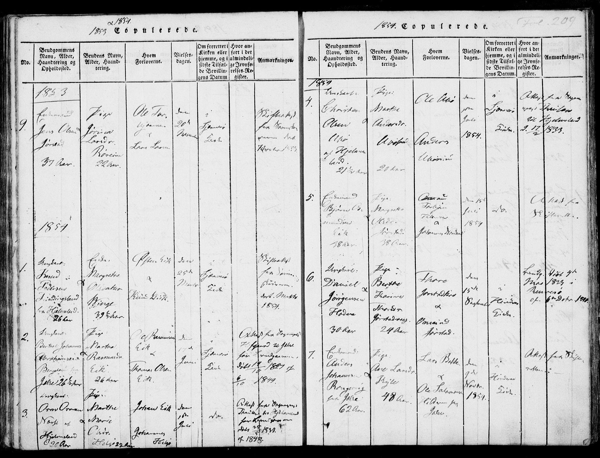 Nedstrand sokneprestkontor, SAST/A-101841/01/IV: Parish register (official) no. A 7, 1816-1870, p. 209