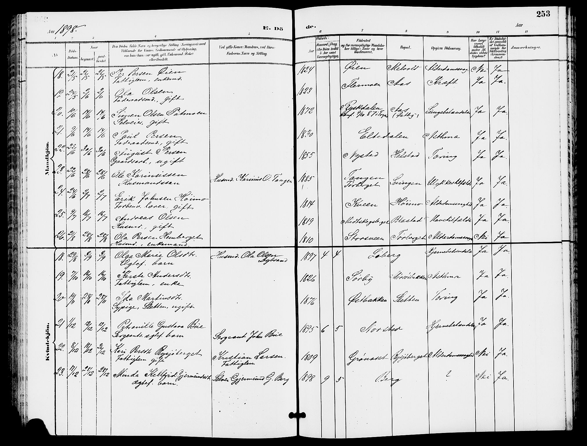 Trysil prestekontor, AV/SAH-PREST-046/H/Ha/Hab/L0006: Parish register (copy) no. 6, 1896-1912, p. 253