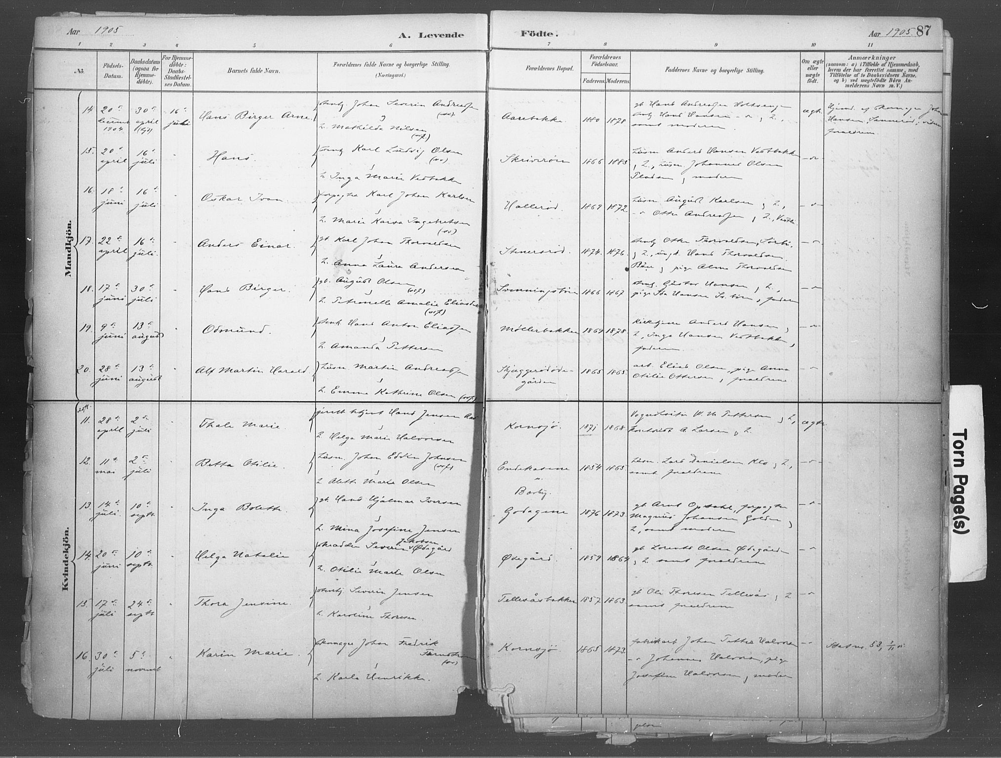 Idd prestekontor Kirkebøker, AV/SAO-A-10911/F/Fb/L0002: Parish register (official) no. II 2, 1882-1923, p. 87