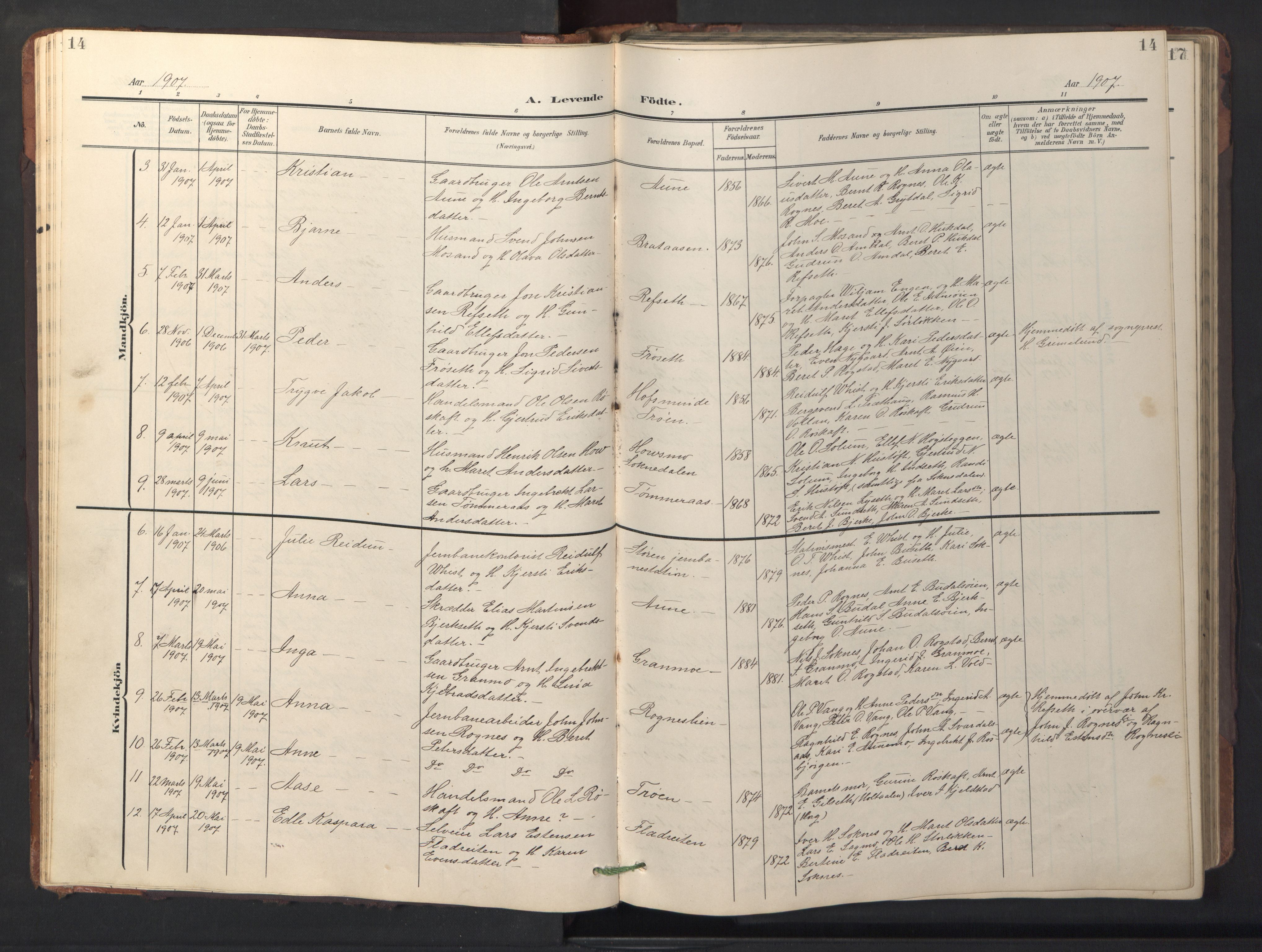 Ministerialprotokoller, klokkerbøker og fødselsregistre - Sør-Trøndelag, SAT/A-1456/687/L1019: Parish register (copy) no. 687C03, 1904-1931, p. 14