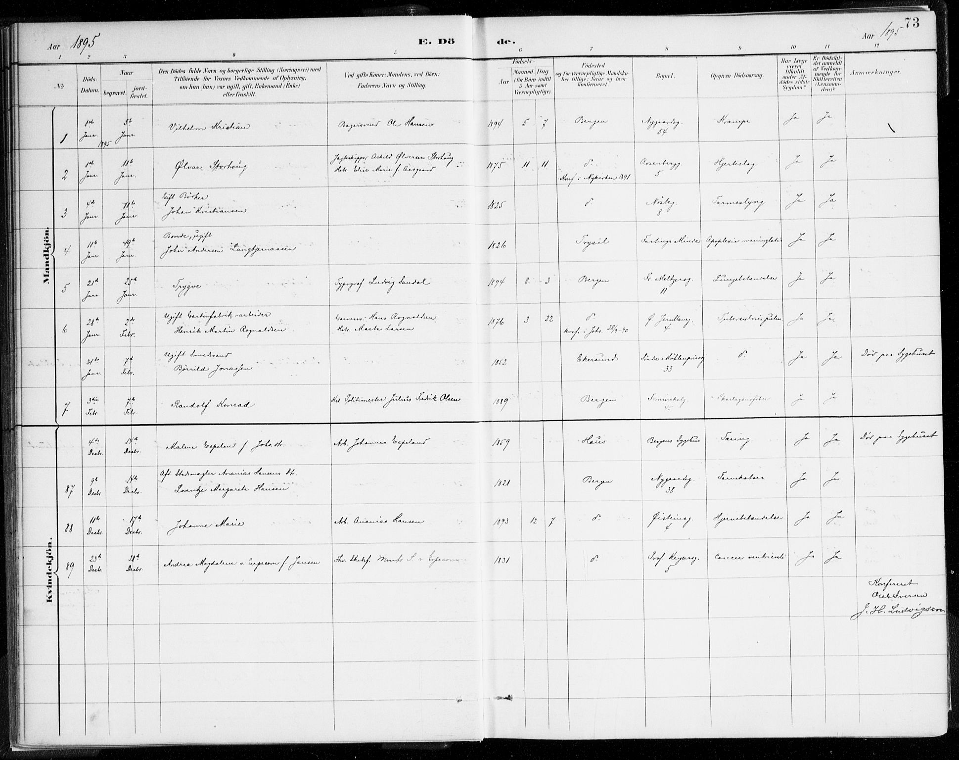 Johanneskirken sokneprestembete, SAB/A-76001/H/Haa/L0019: Parish register (official) no. E 1, 1885-1915, p. 73