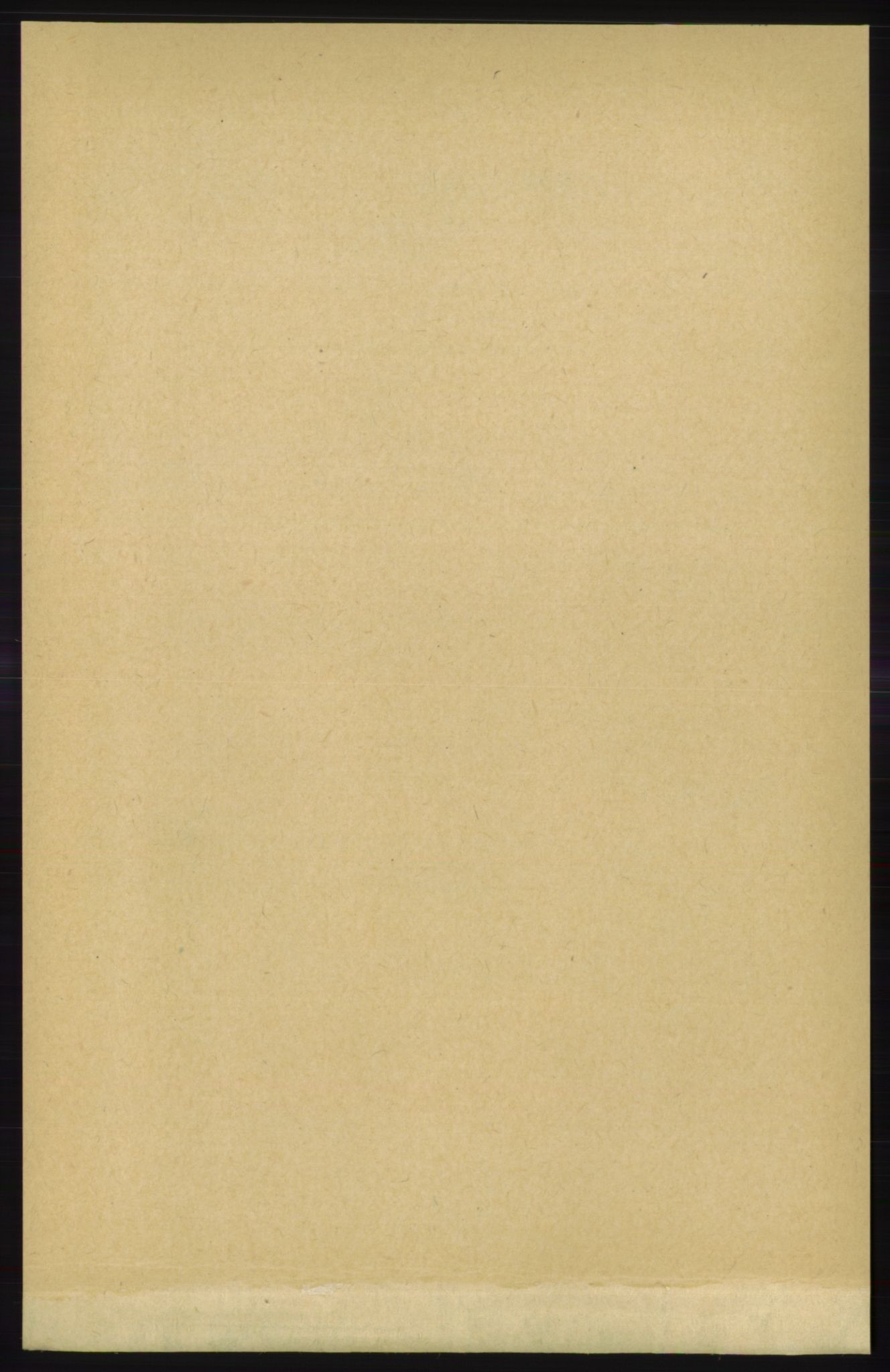 RA, 1891 census for 1154 Skjold, 1891, p. 281