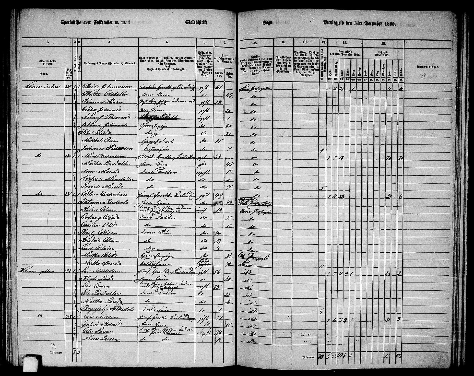 RA, 1865 census for Fana, 1865, p. 88