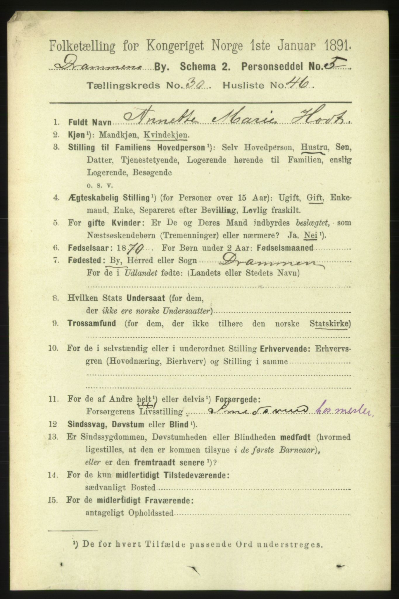 RA, 1891 census for 0602 Drammen, 1891, p. 18698